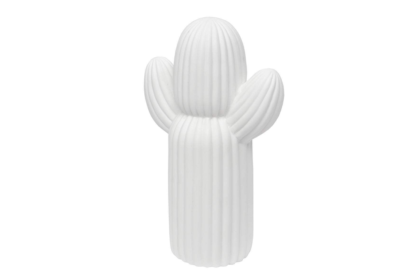 Déco Cactus H30cm