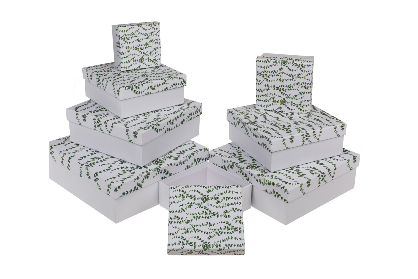 Giftbox Eucalyptus - karton - wit set van 8