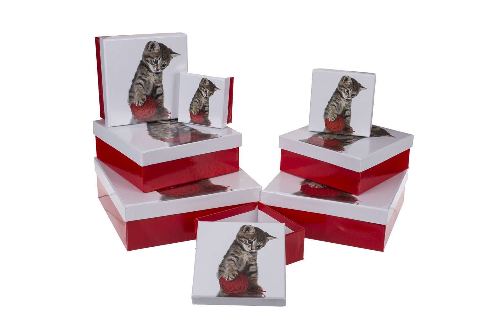 Giftbox Cat - karton - rood/wit set van 8