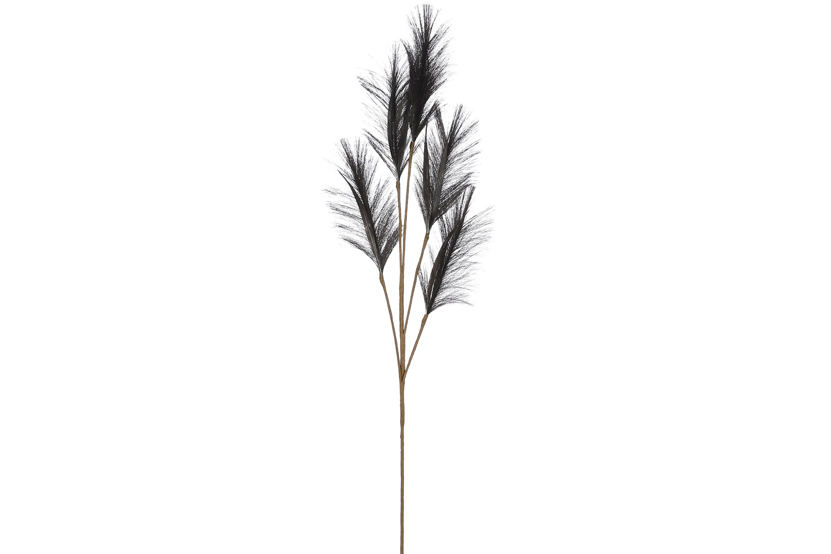 Branche artificielle Herbe à panache H98cm