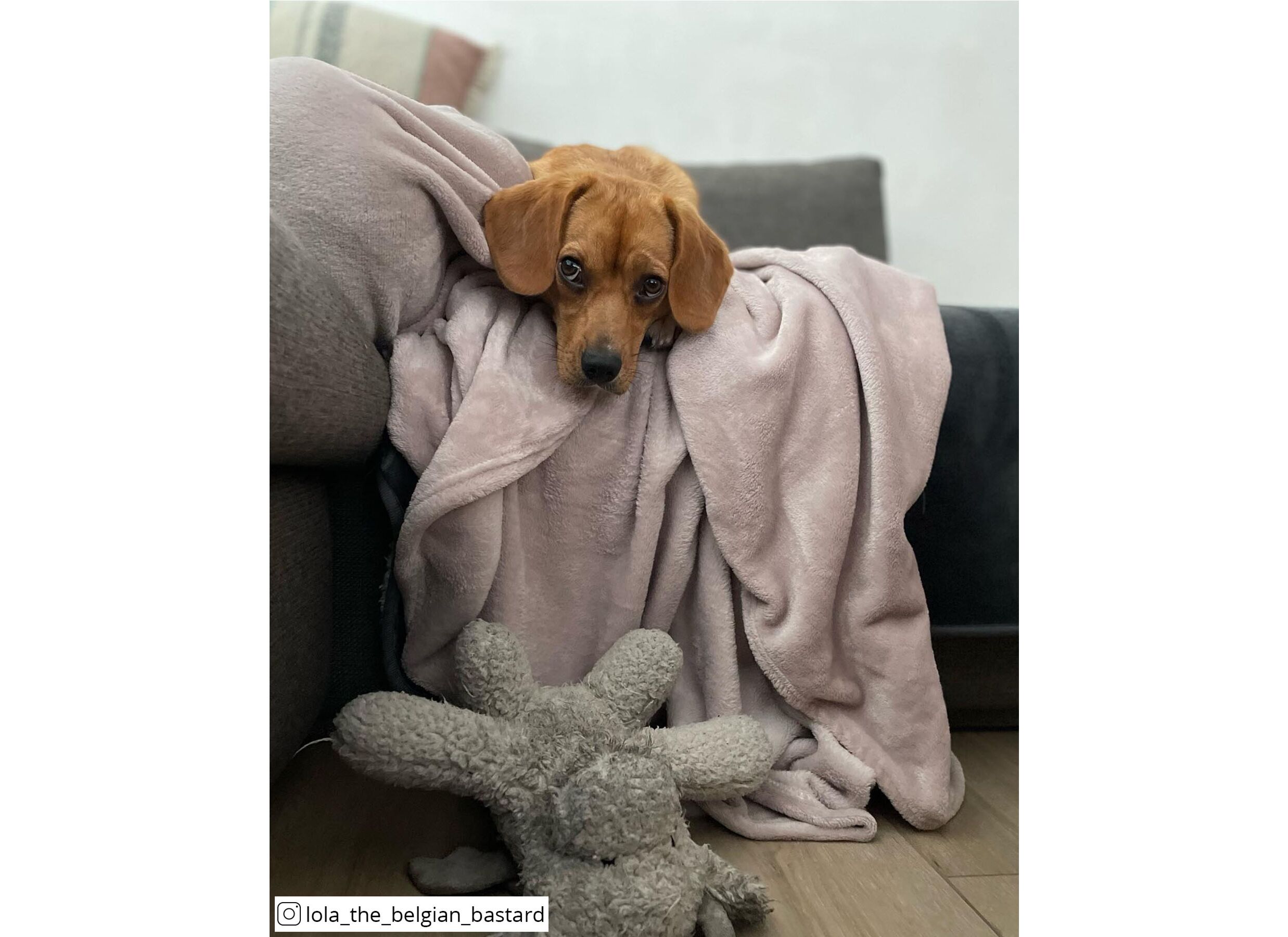 Foto ambiance - Plaid 150x200cm microfibre vieux rose