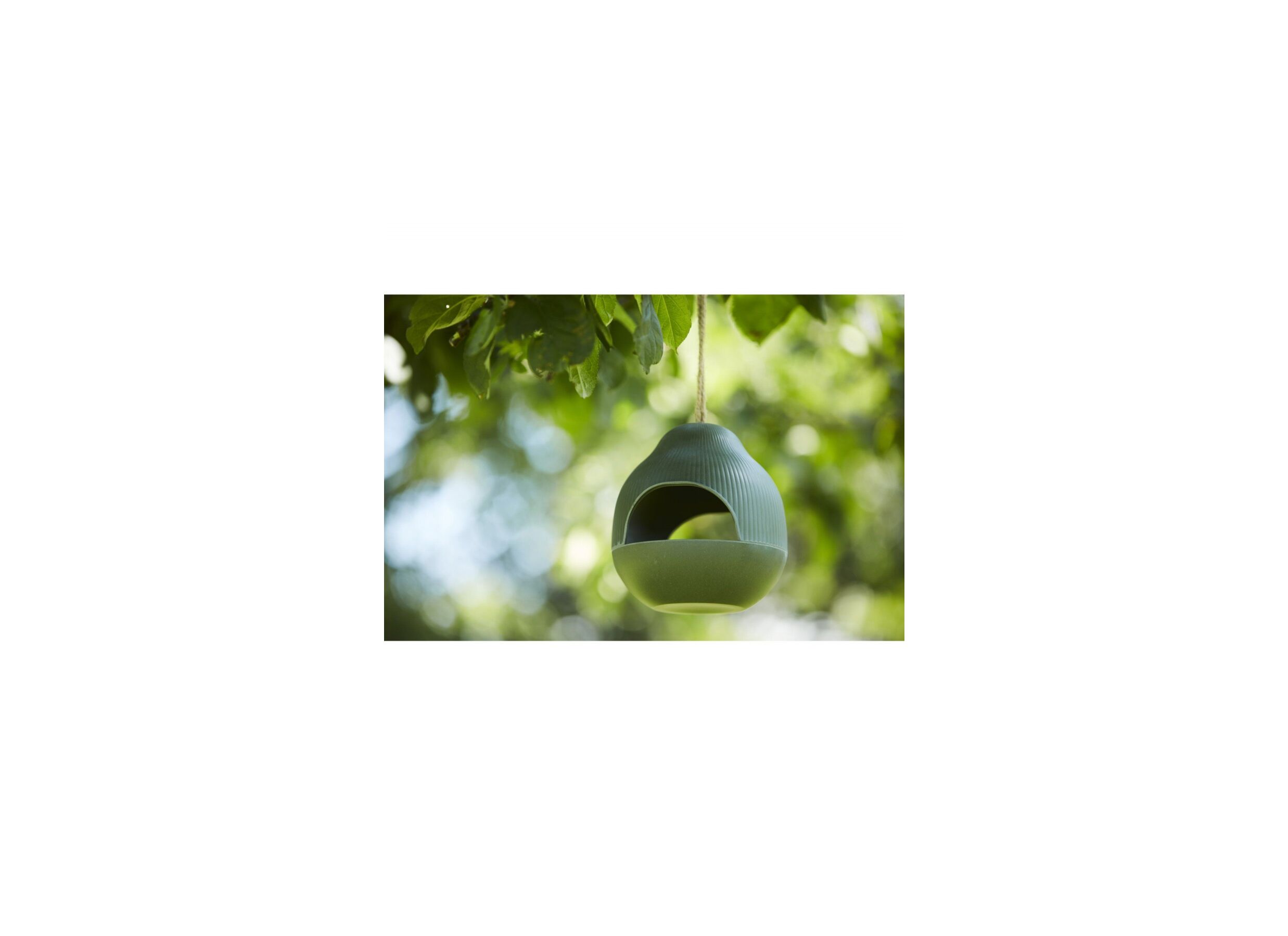 Foto ambiance - Nichoir oiseaux vert