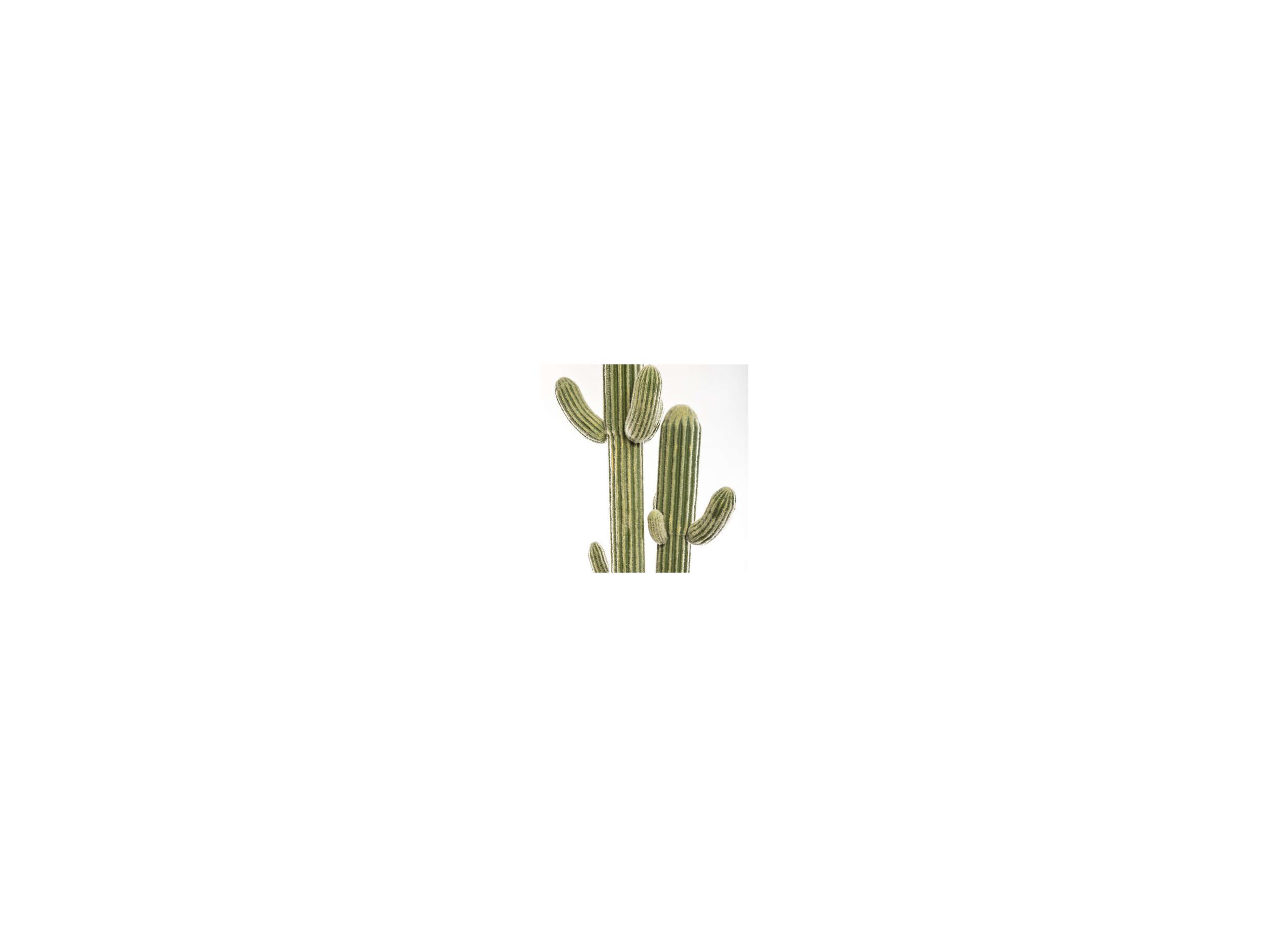 Detail - Plante artificielle Cactus 3 branches H203cm