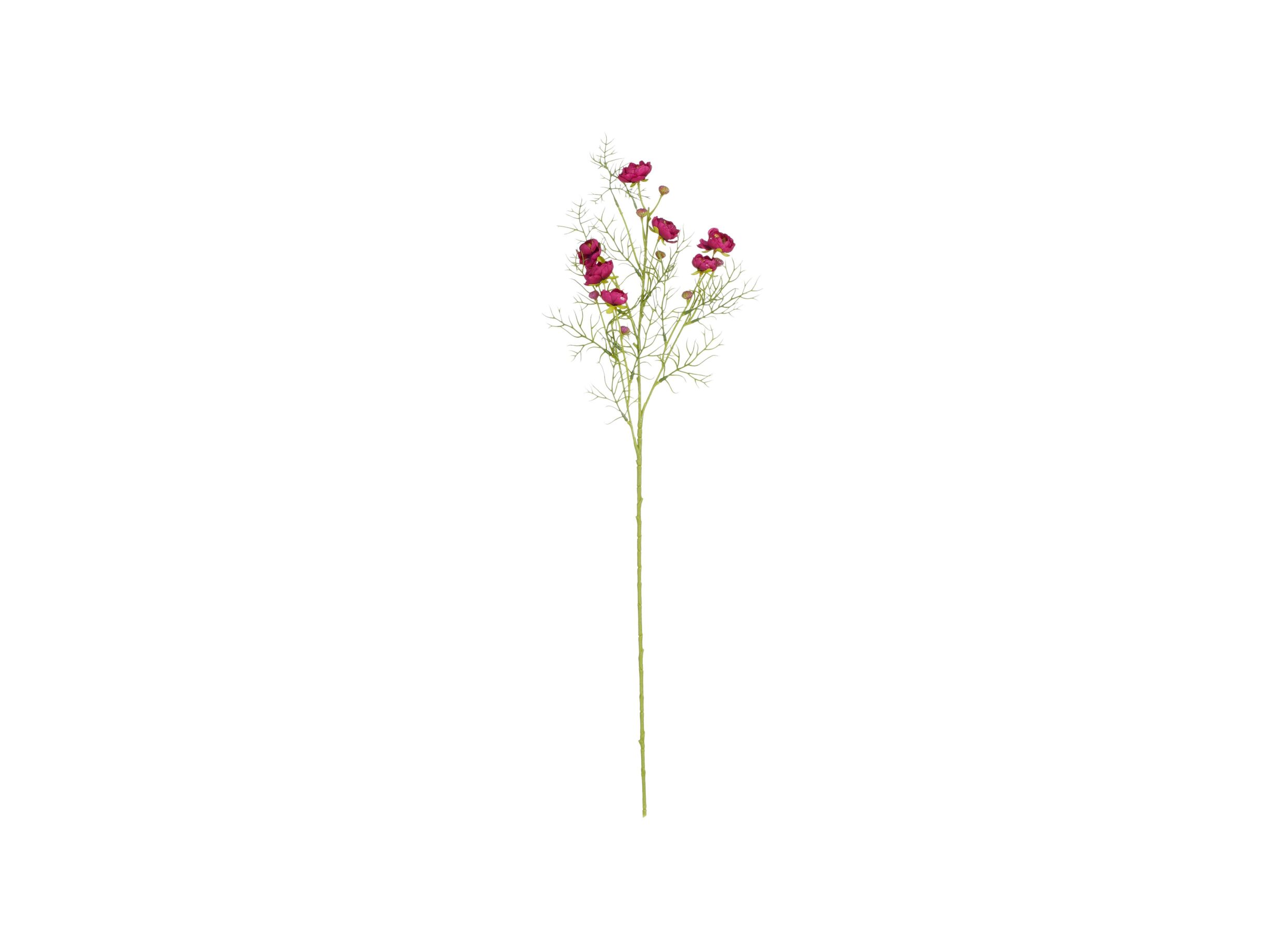 Hoofdfoto - Kunstbloem Ranunculus H74cm - kunststof - donkerrood