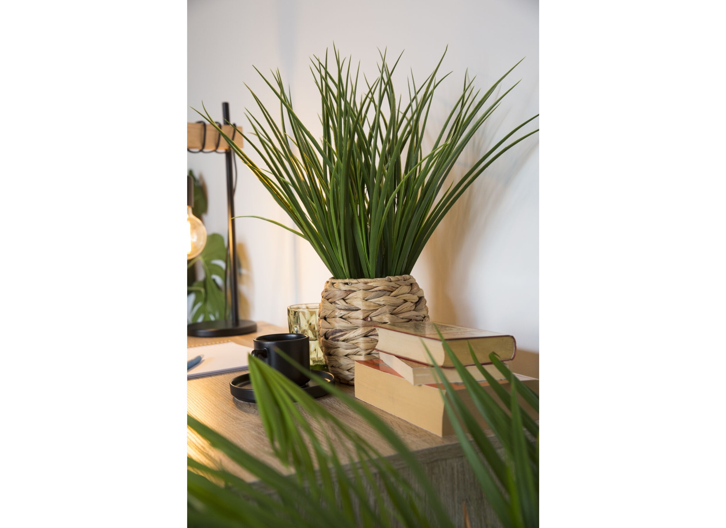 Foto ambiance - Plante artificielle Moda H46cm
