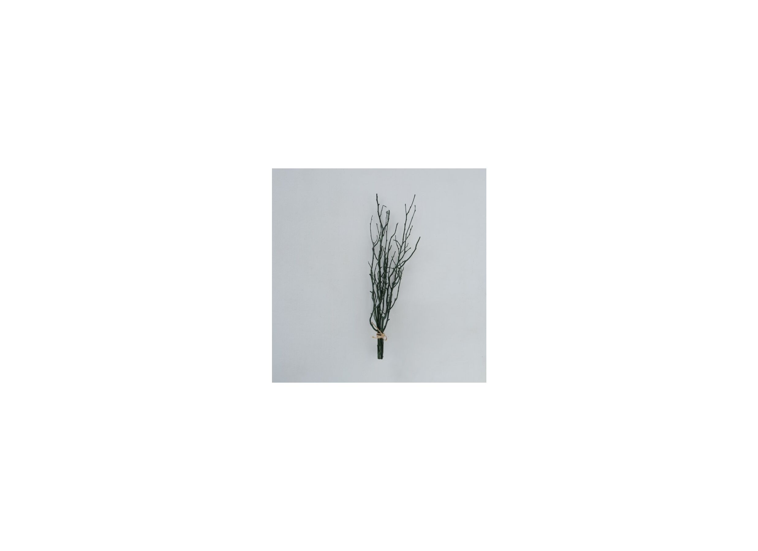 Overzichtsfoto - Decoratietak Twiggy H50cm