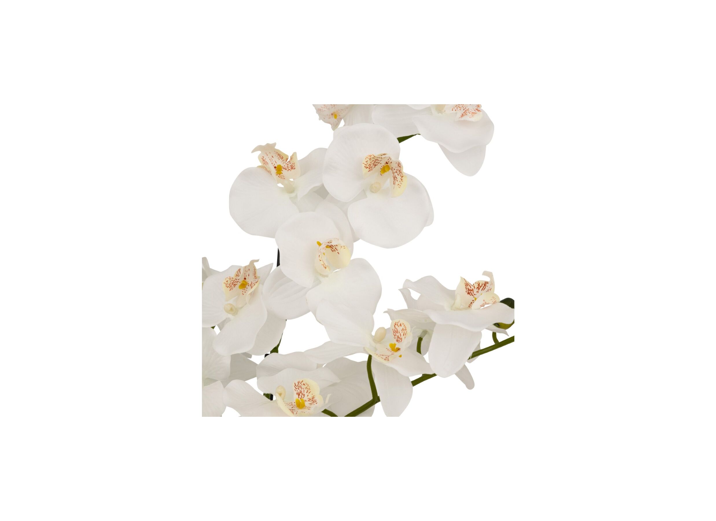 Detailfoto - Kunstplant Orchidee H60cm - kunststof/keramiek - wit