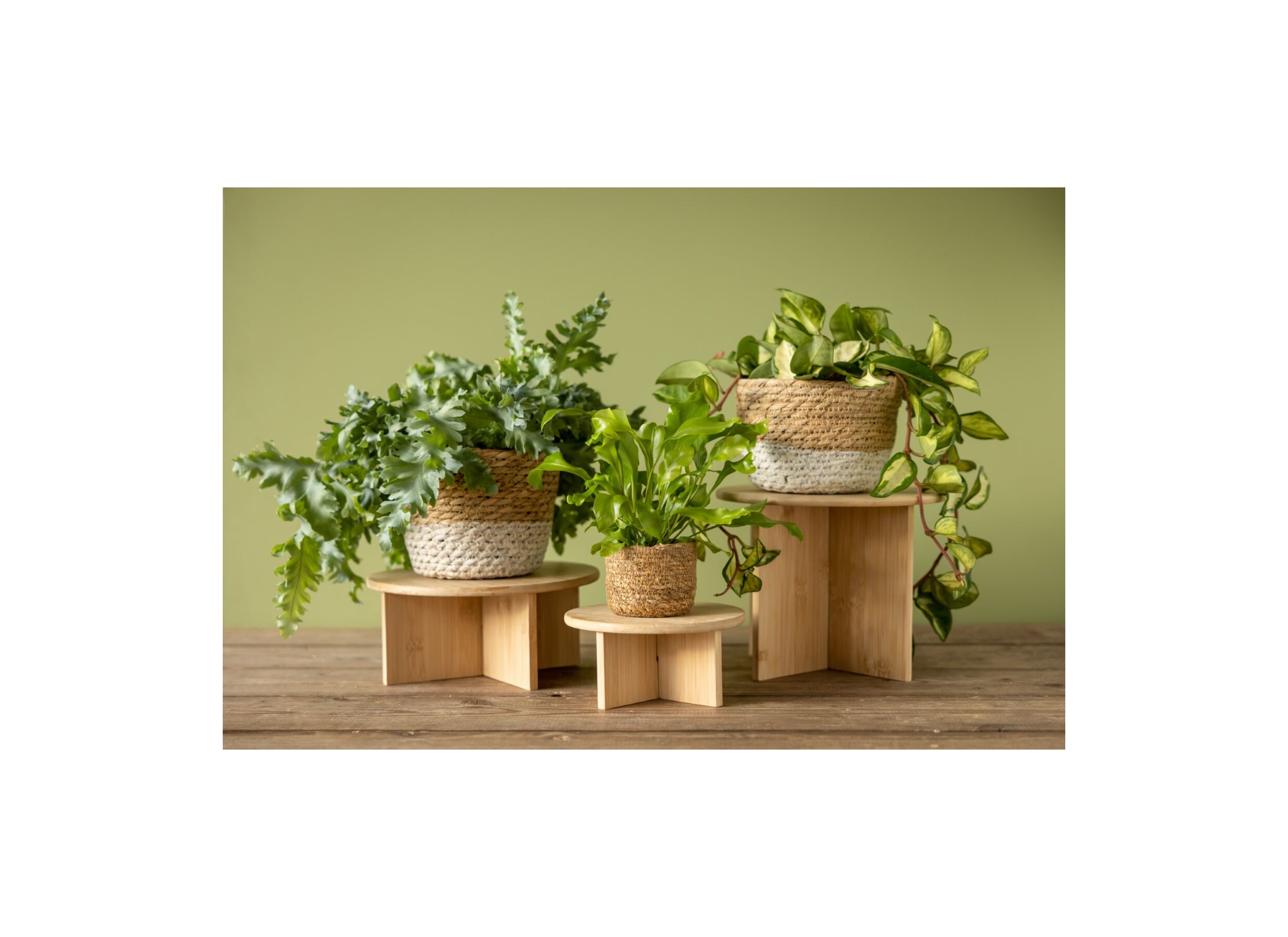 Setfoto - Plantenstandaard Large H19,5cm bamboe naturel