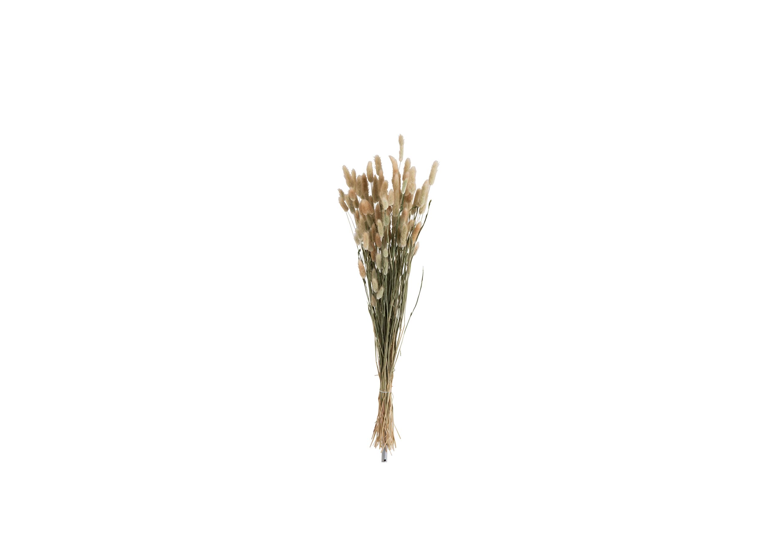 Decoratietak Bundel gedroogde pluimen 75cm