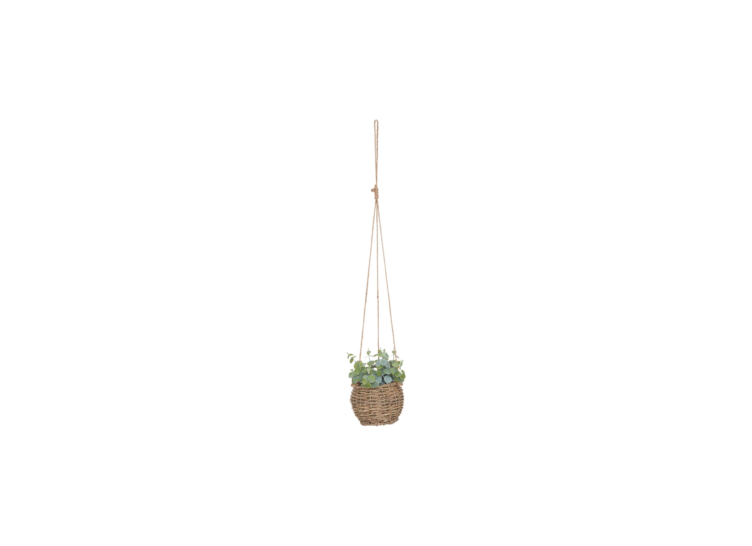Aperçu - Plante artificielle suspendue ZoeZoe H17cm