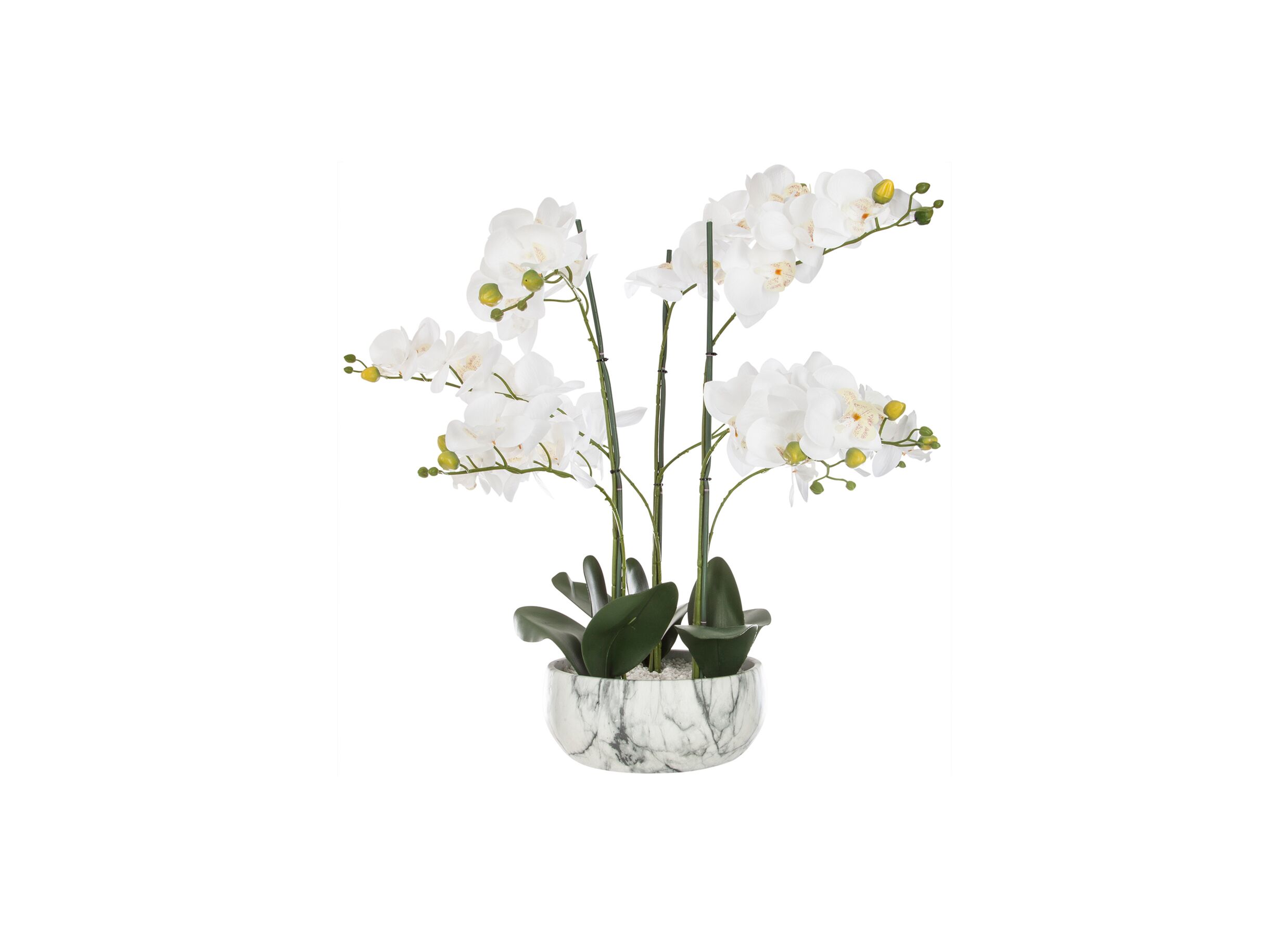 Kunstplant Orchidee H65cm
