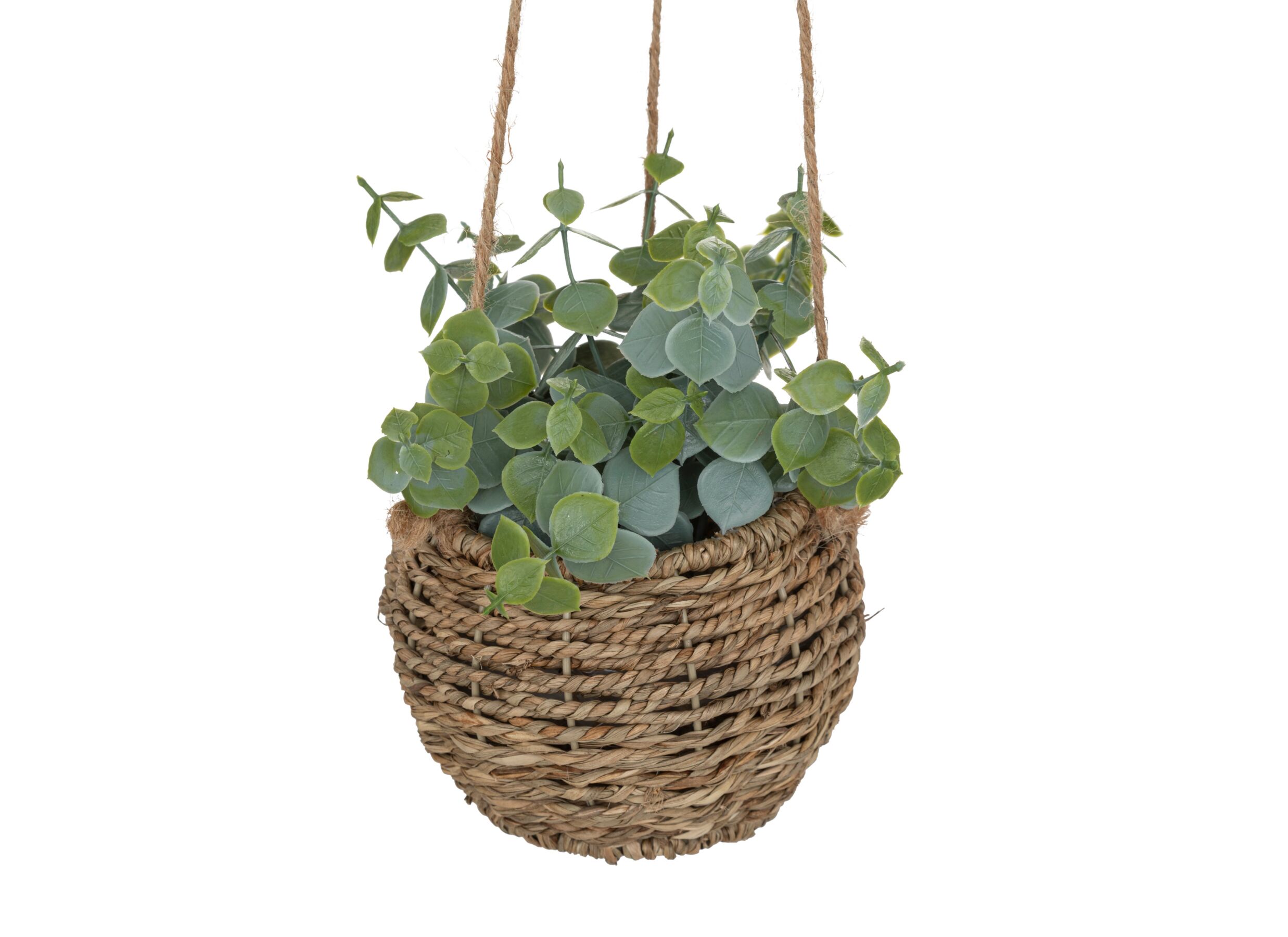 Detail - Plante artificielle suspendue ZoeZoe H17cm