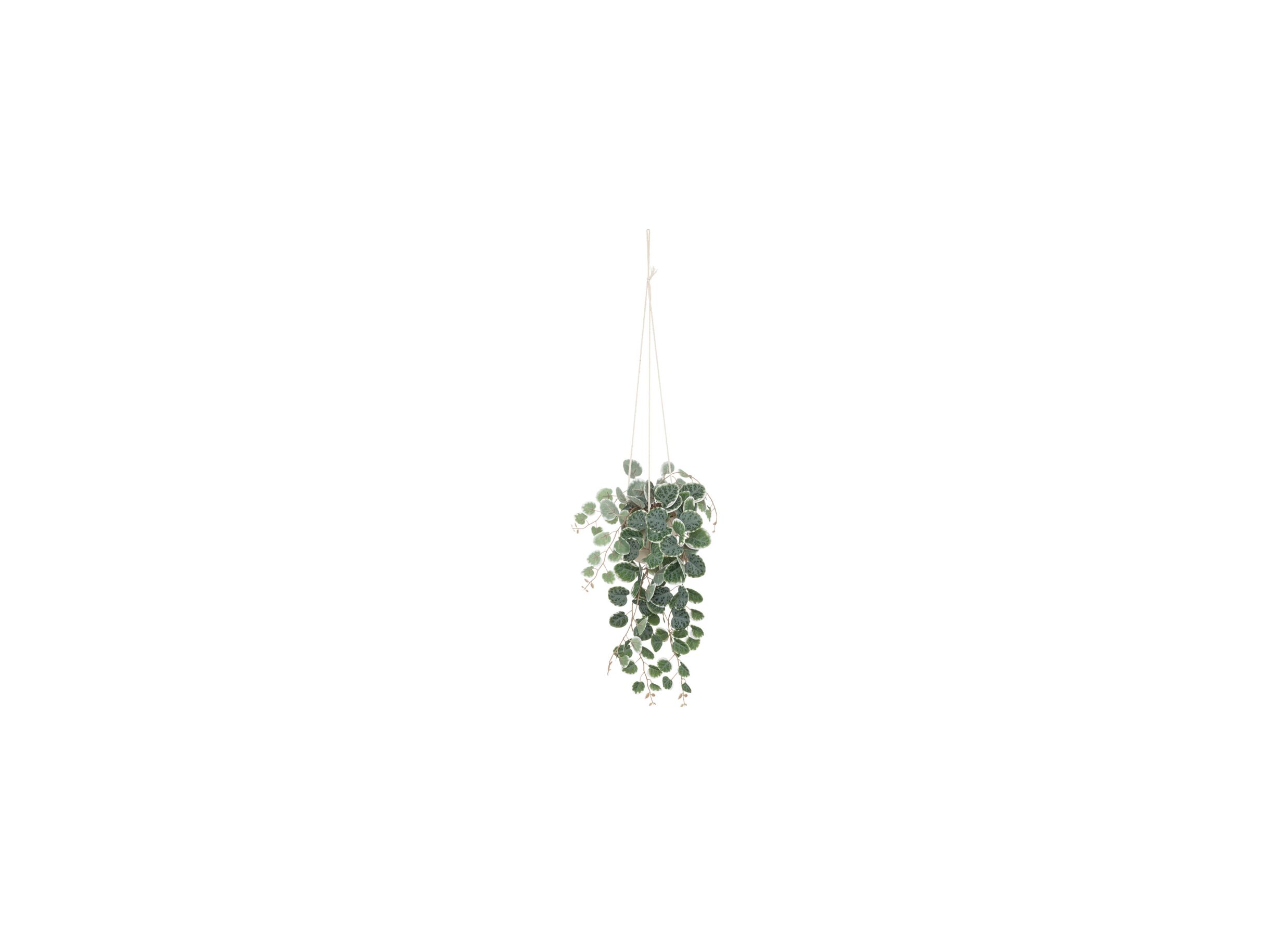 Plante artificielle suspendue Sieste à Lourmarin H30cm - Plante artificielle suspendue Sieste à Lourmarin H30cm