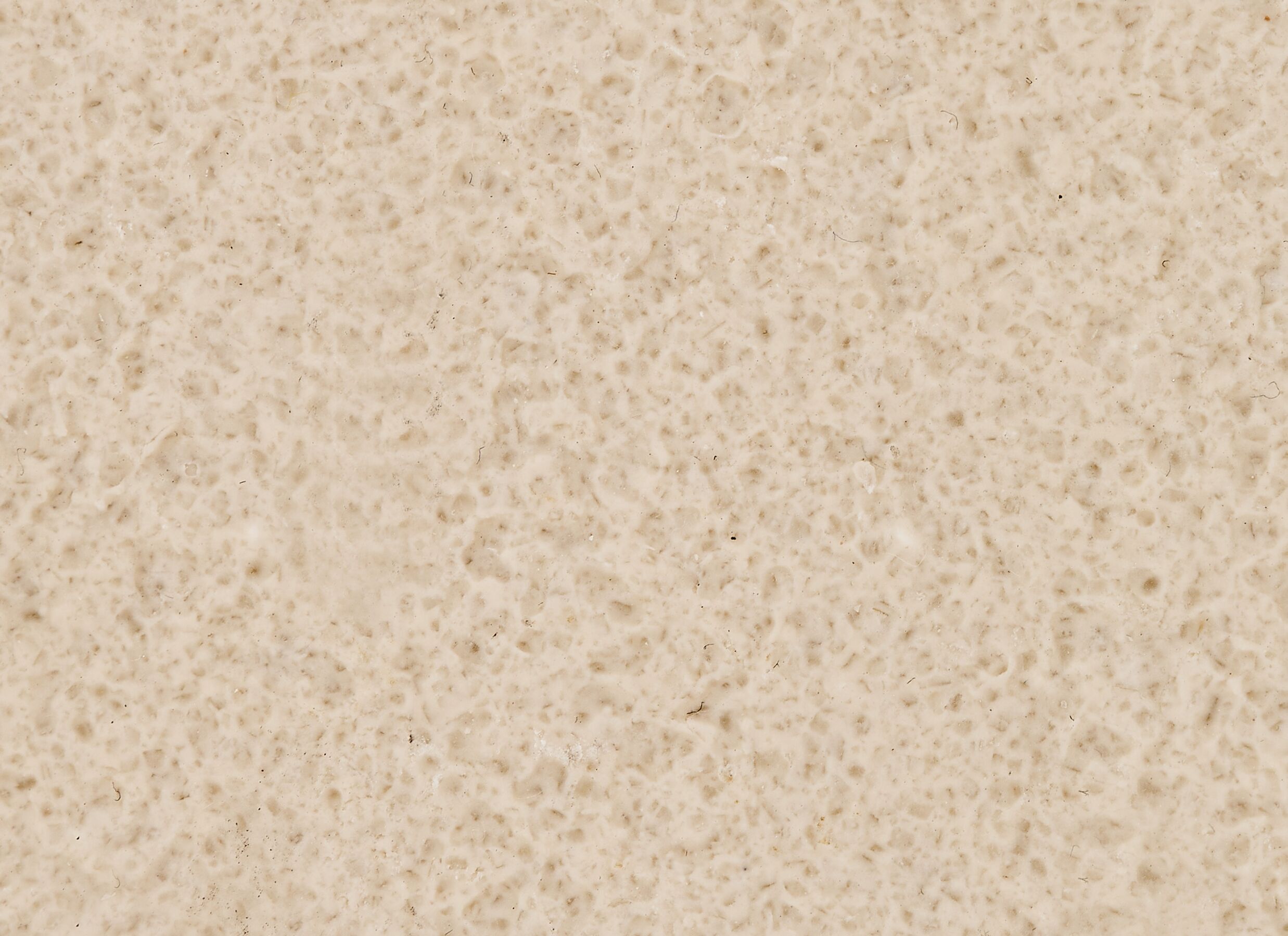 Detailfoto - Schaal Oleya 22,6x12,7x1,9cm - polyresine - beige