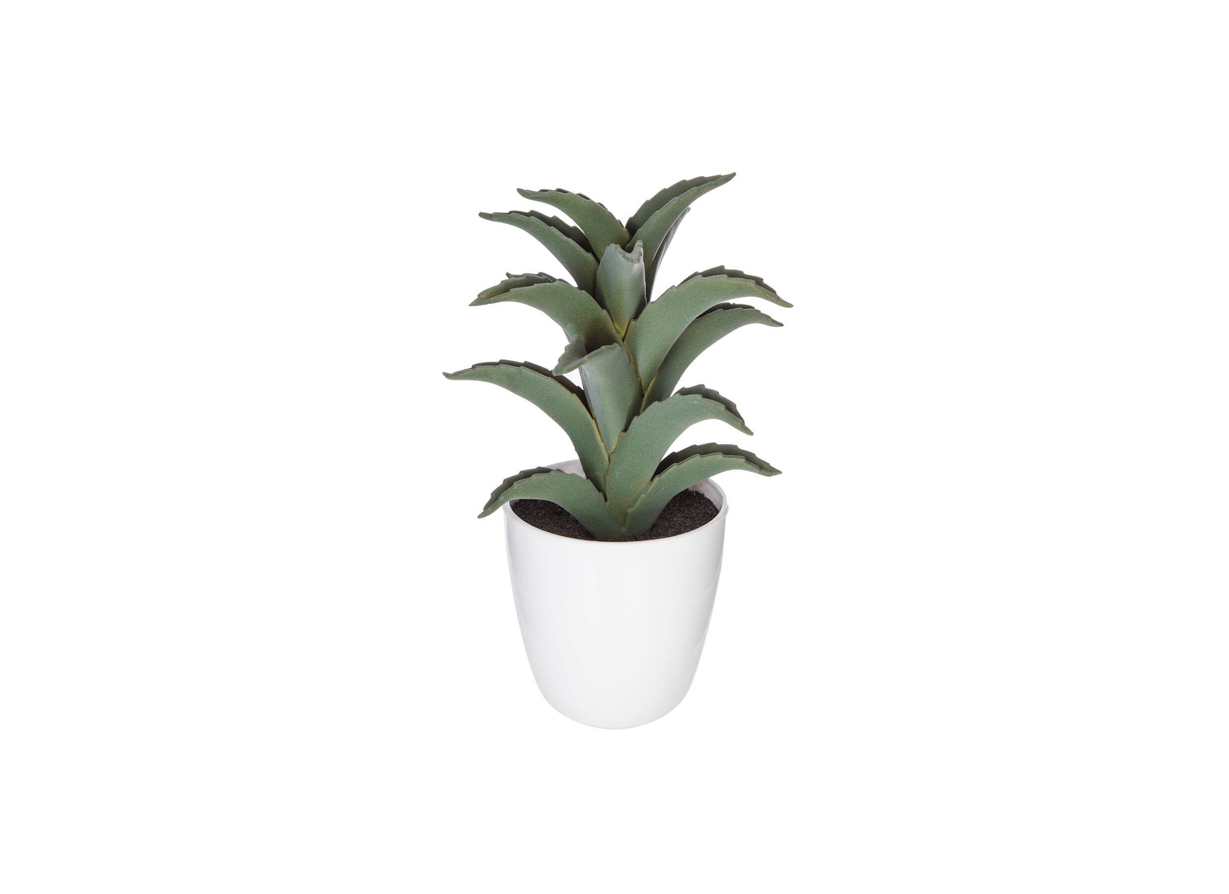Overzichtsfoto - Kunstplant Cactus H18cm