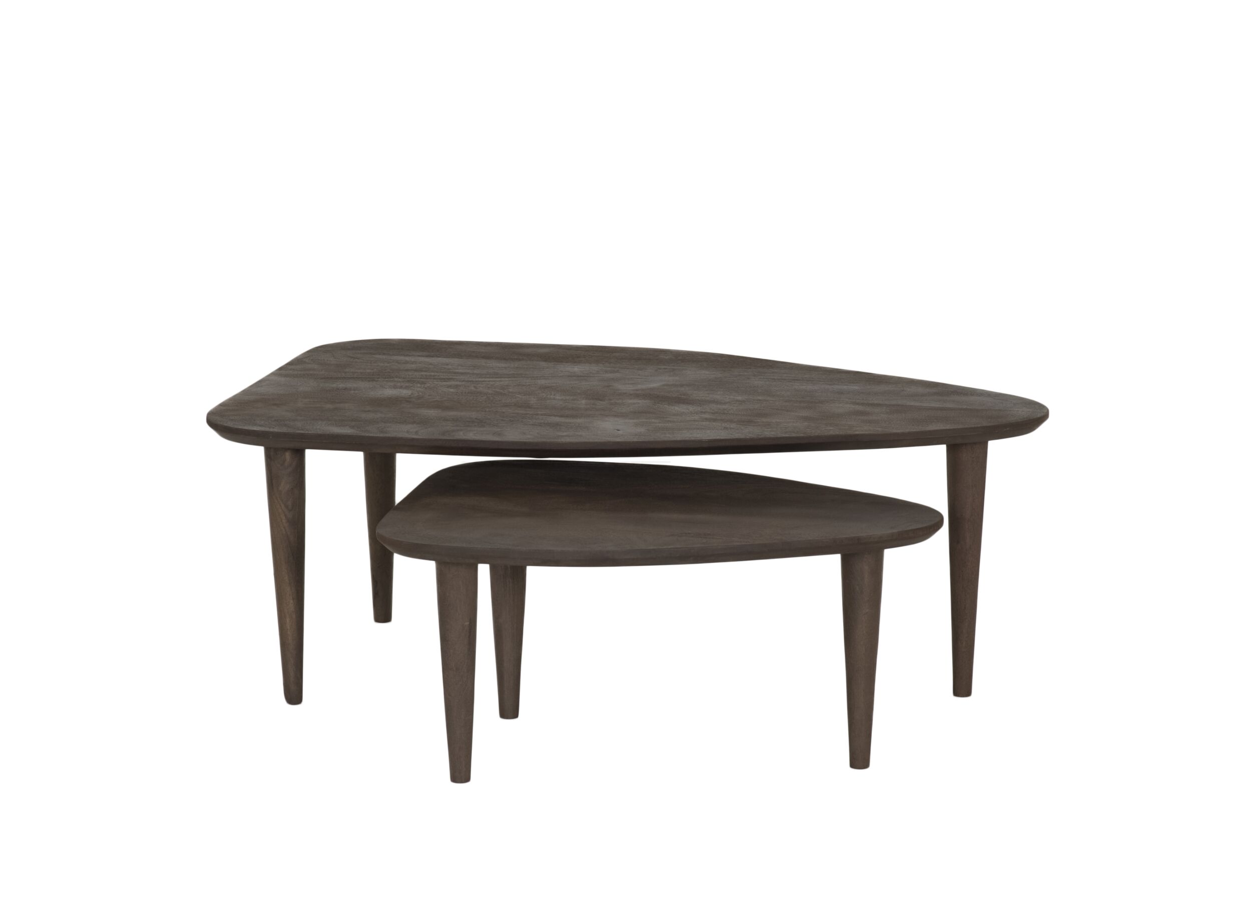Salontafel Ginger 110x64/69x49cm - mango massief - naturel - set van 2 - Table basse Ginger 100x64/69x49cm - manguier massif - naturel - lot de 2