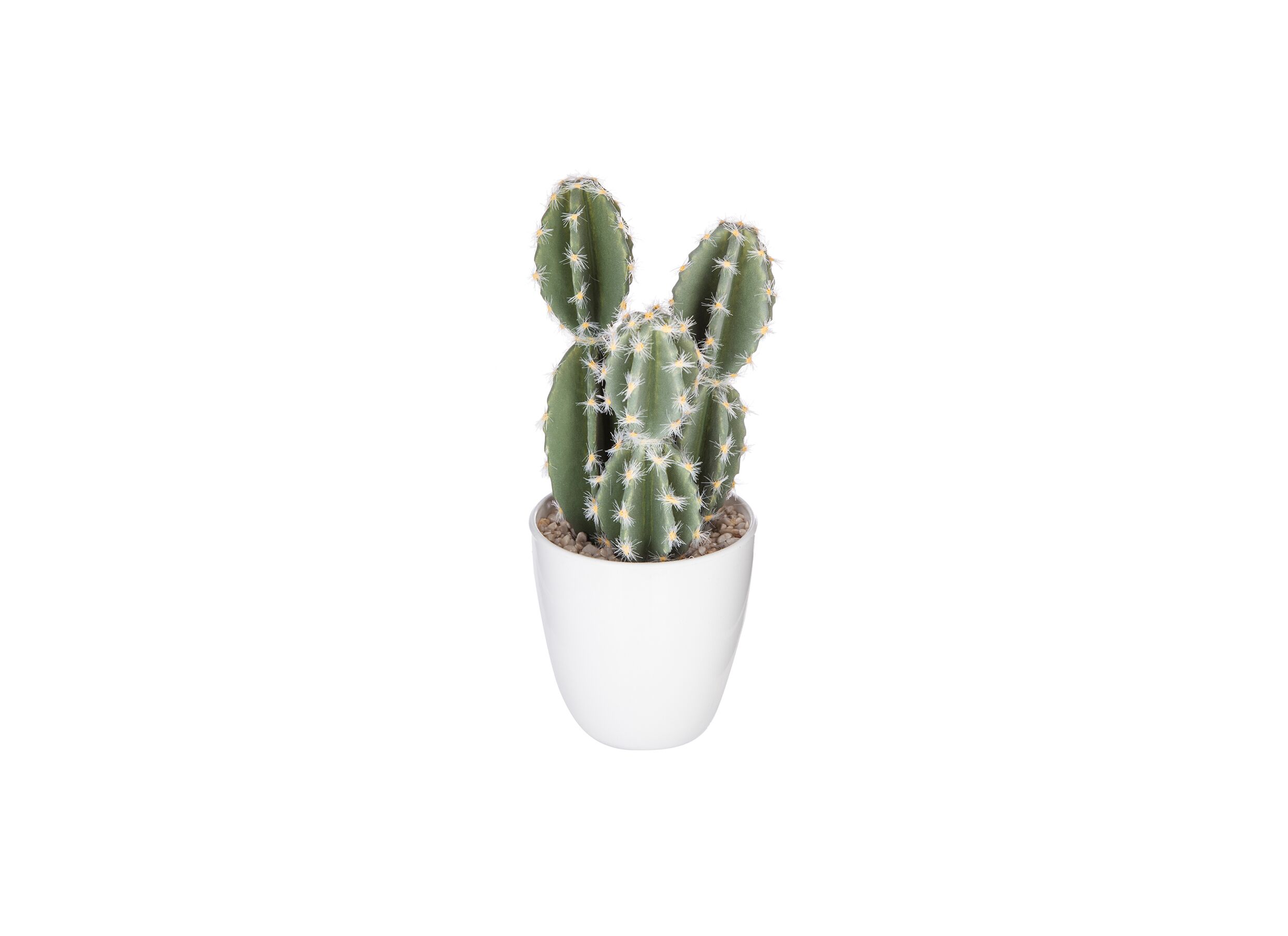 Overzichtsfoto - Kunstplant Cactus H18cm