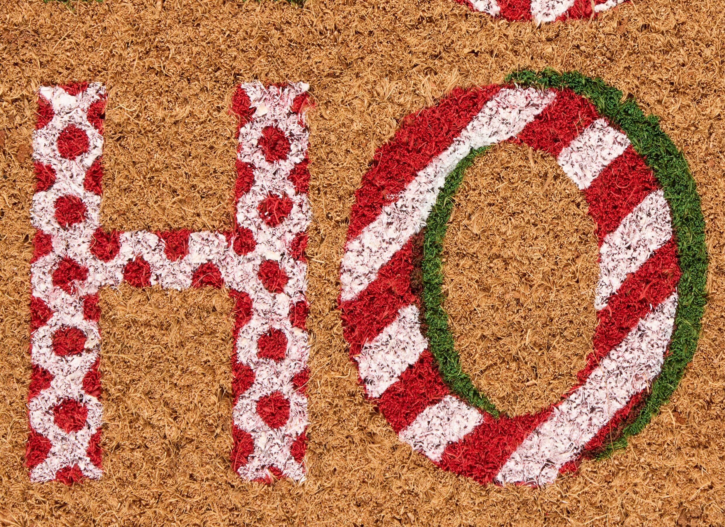 Detail - Paillasson Hohoho 40x60cm - noix de coco - multicolor