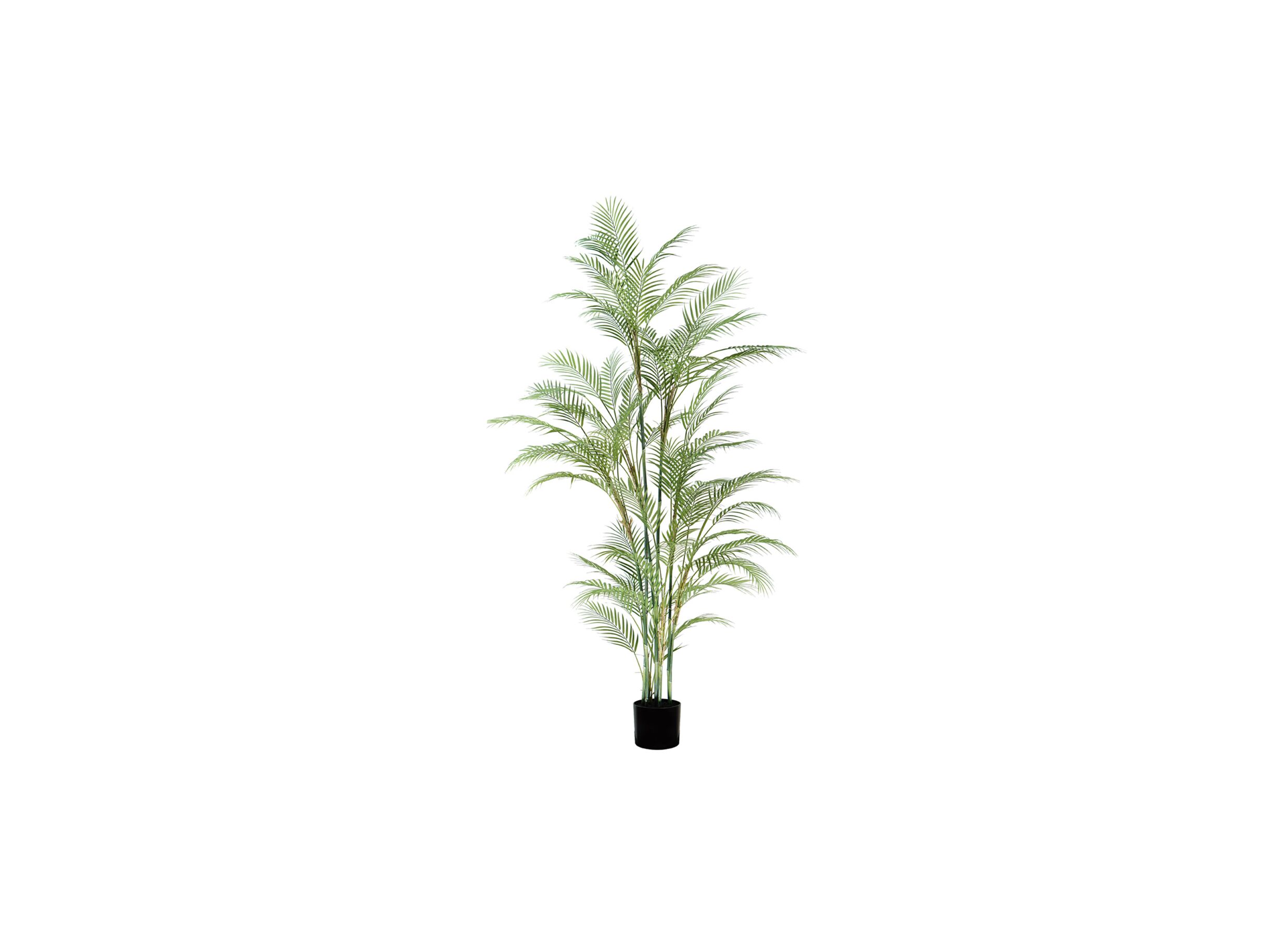 Plante artificielle Palmier H180cm - Plante artificielle Palmier H180cm