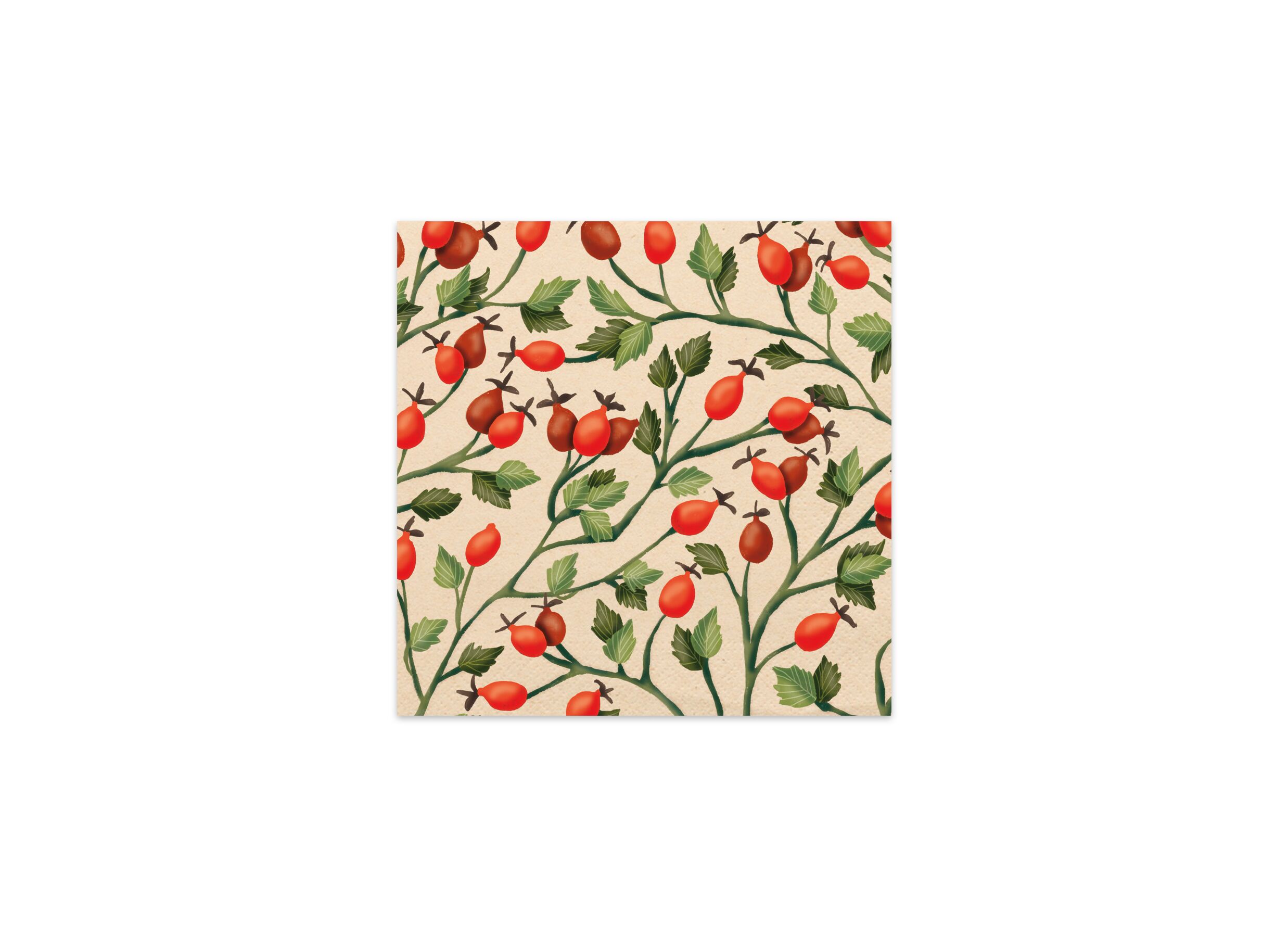 Plus Important - Rosehips 33x33cm - papier - multicolore 20 pièces