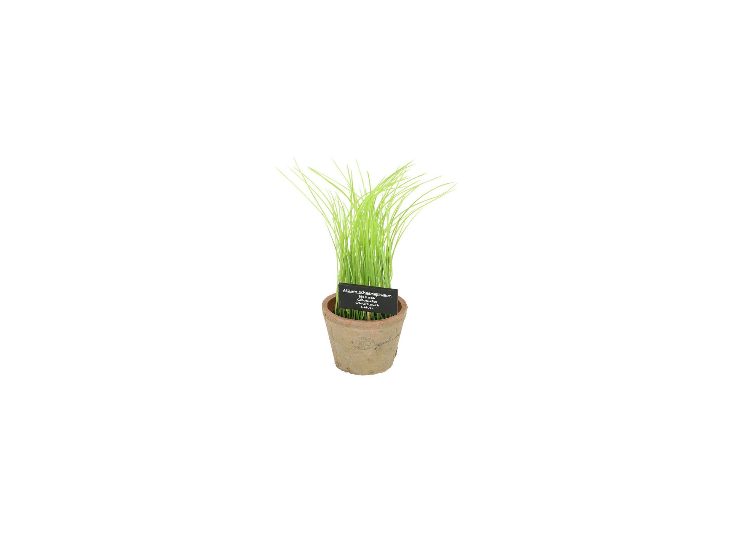 Plus Important - Plante artificielle Bieslook H27cm