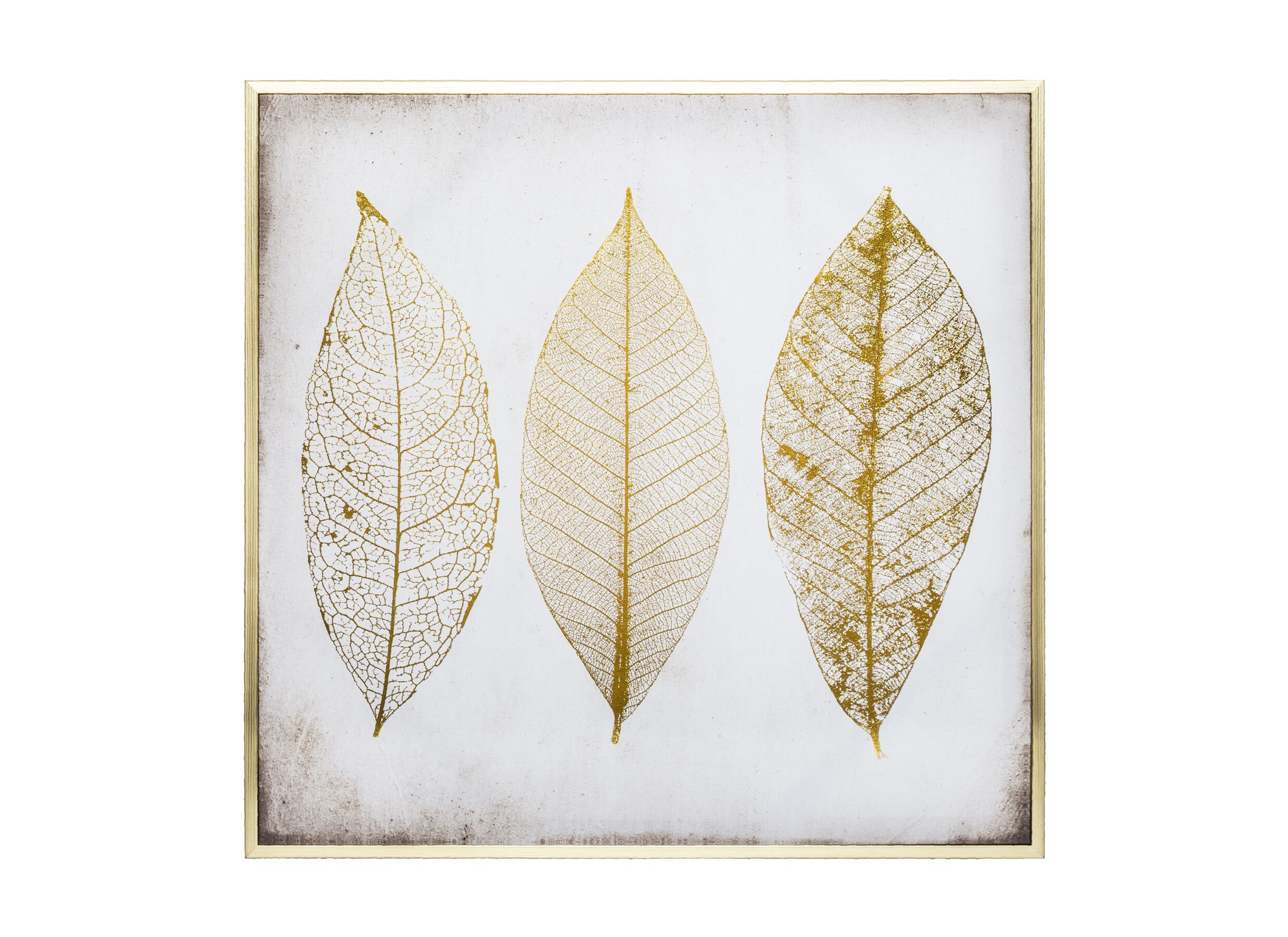 Print op canvas Pluimen 58x58cm