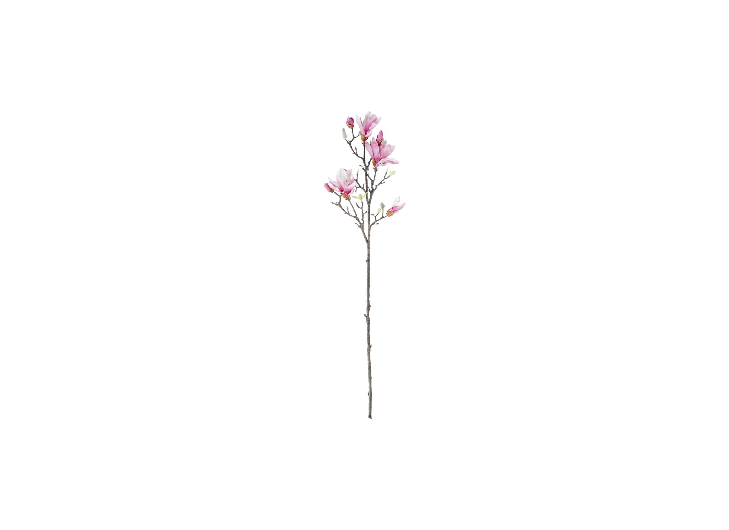 Kunstbloem Magnolia H101cm - Kunstbloem Magnolia H101cm
