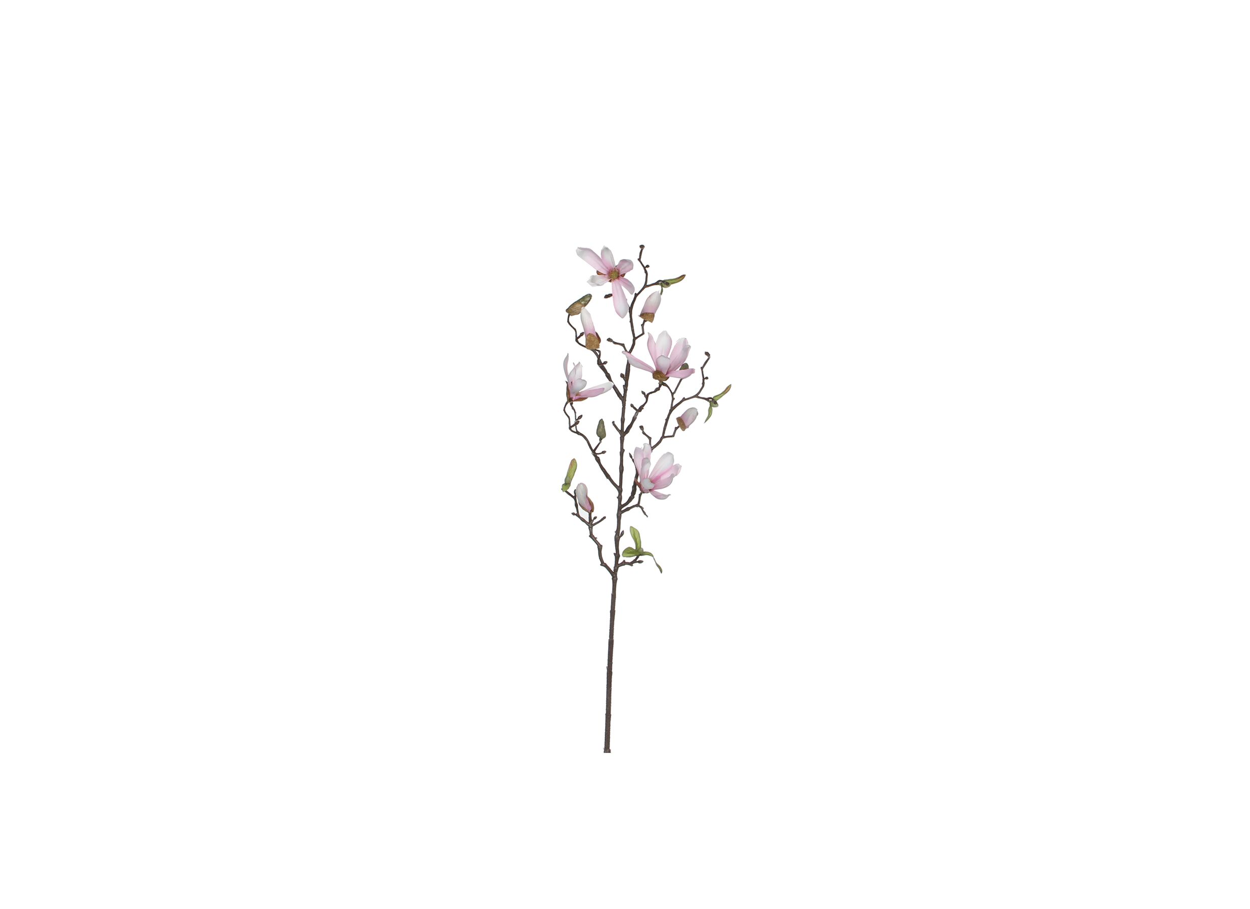 Branche artificielle Magnolia H75cm - Branche artificielle Magnolia H75cm