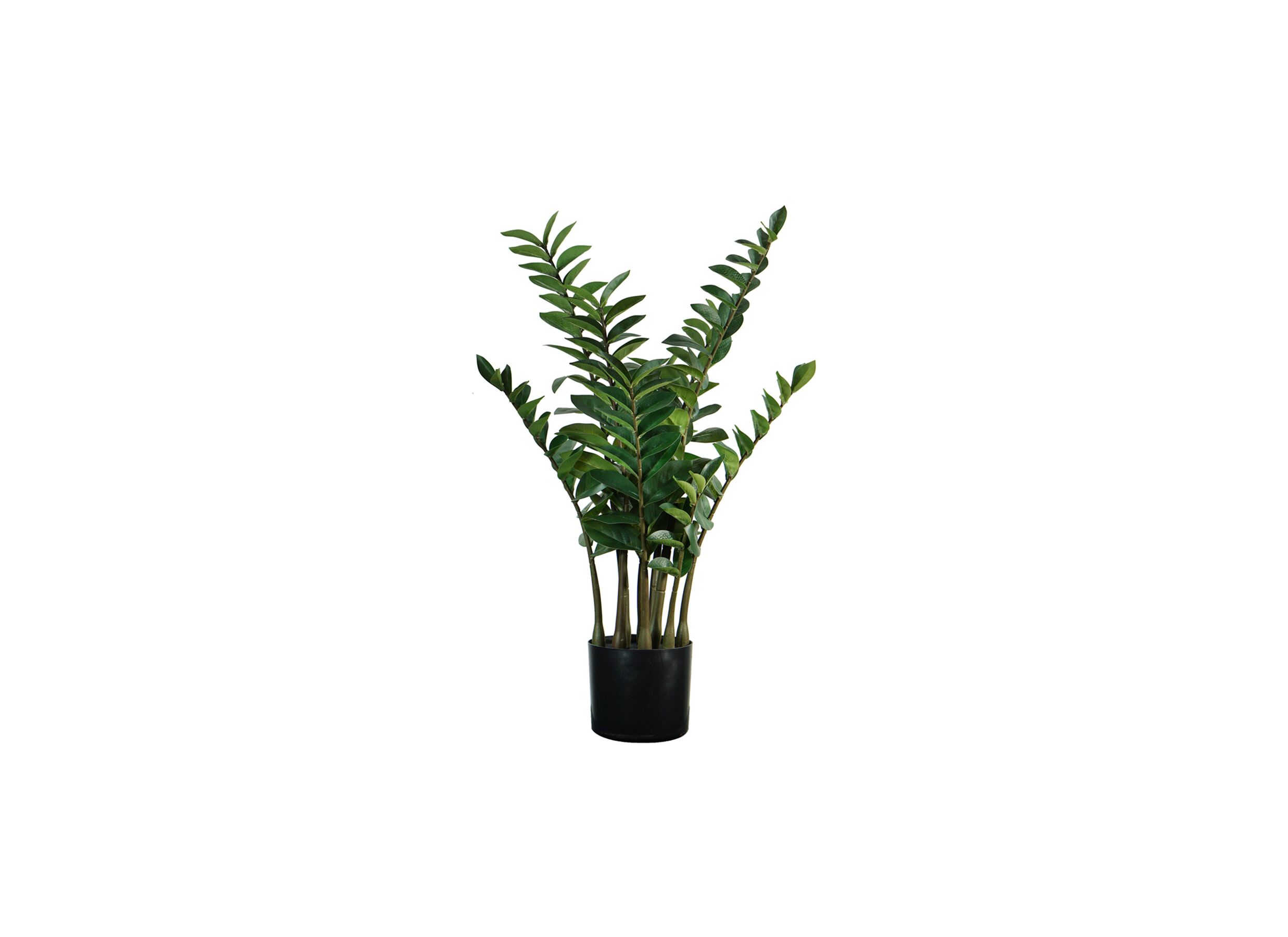 Plus Important - Plante artificielle Zamio H90cm