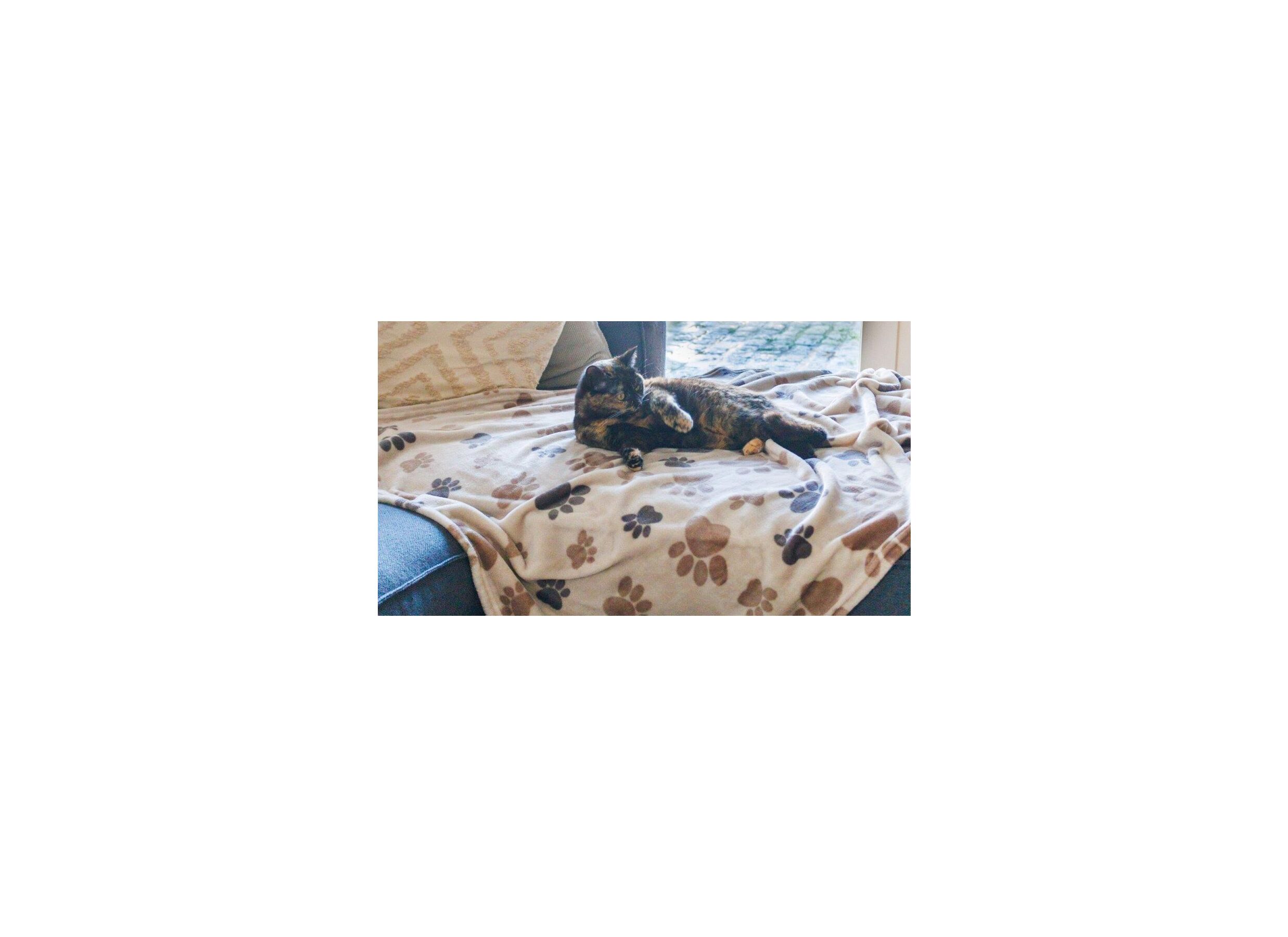Sfeerfoto - Plaid Dierenpootjes 100x150cm microvezel bruin beige