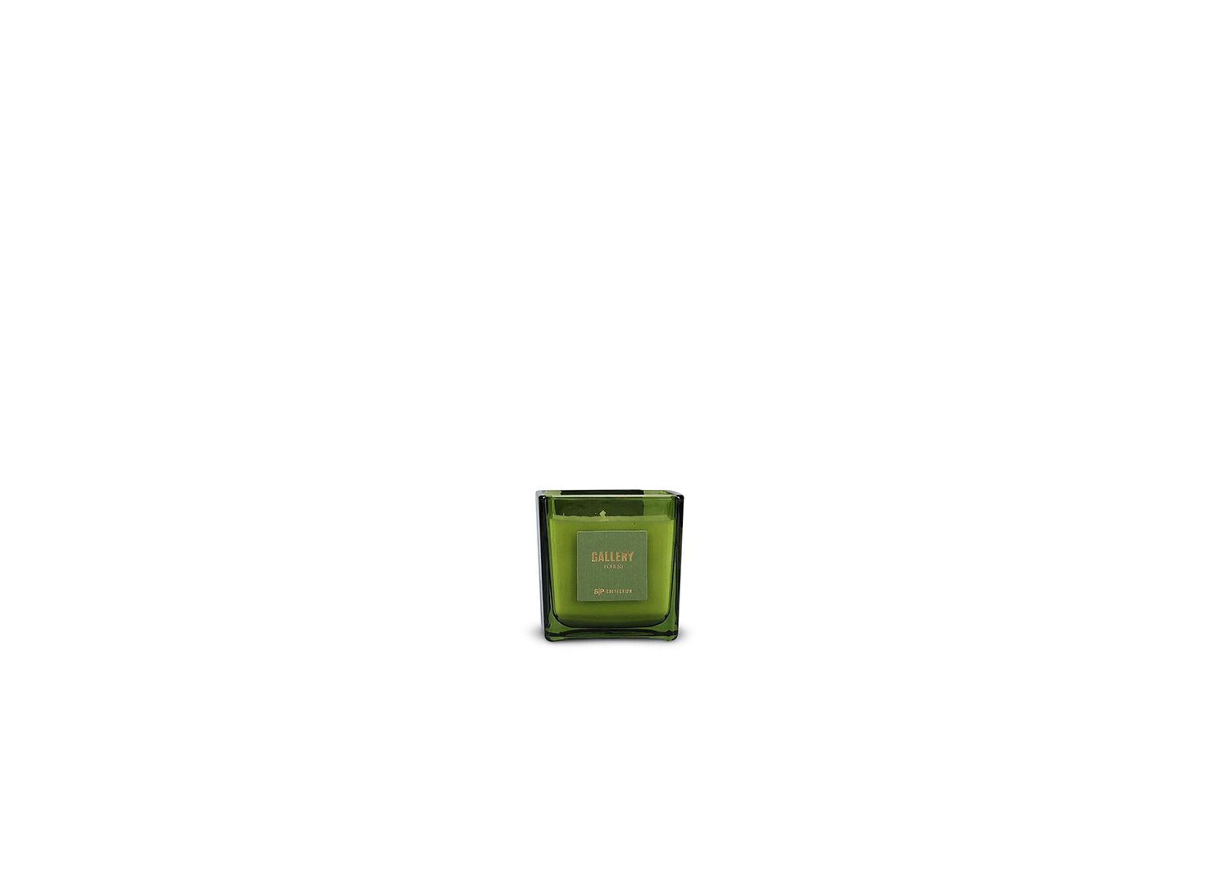 Geurkaars Gallery Forest H8 - Geurkaars Gallery Forest H8,5cm groen
