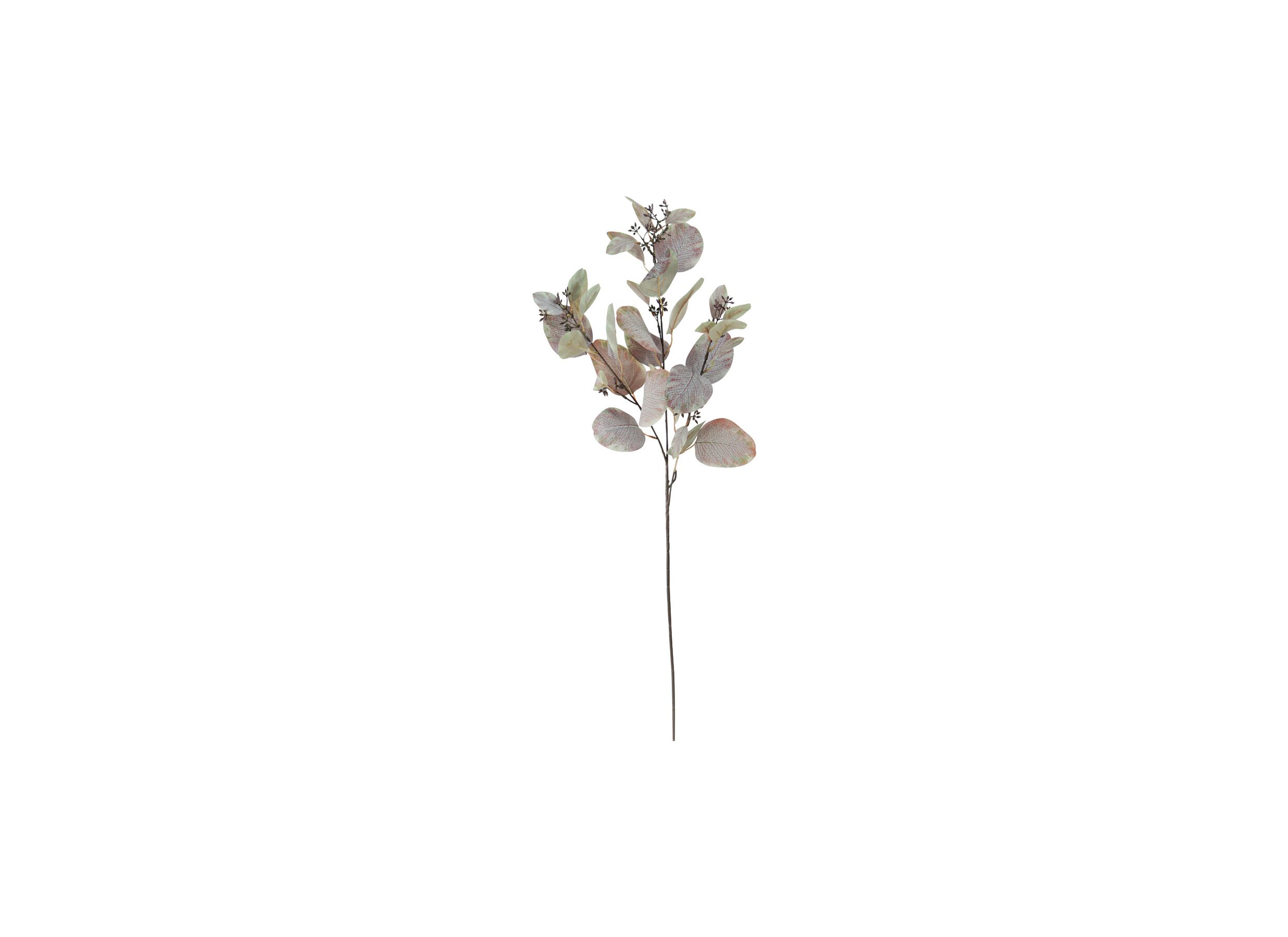 Hoofdfoto - Decoratietak Eucalyptus H90cm