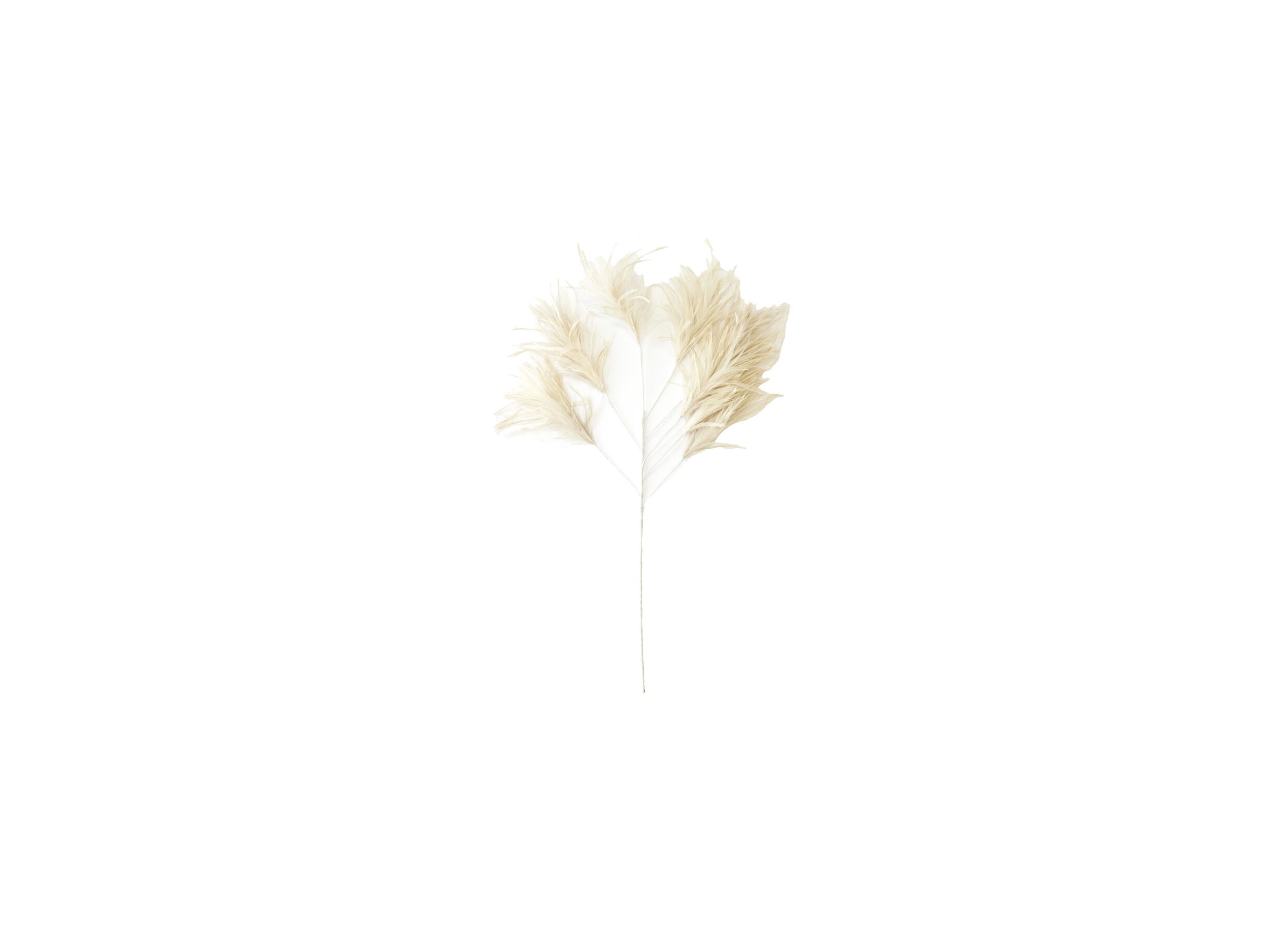 Plus Important - Branche artificielle Feathers H95cm - plastique - blanc
