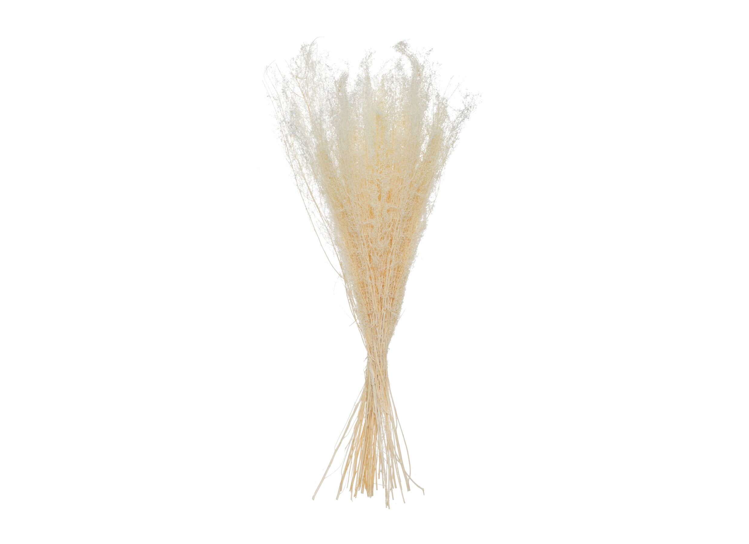 Aperçu - Bouquet de fleurs séchées H78cm