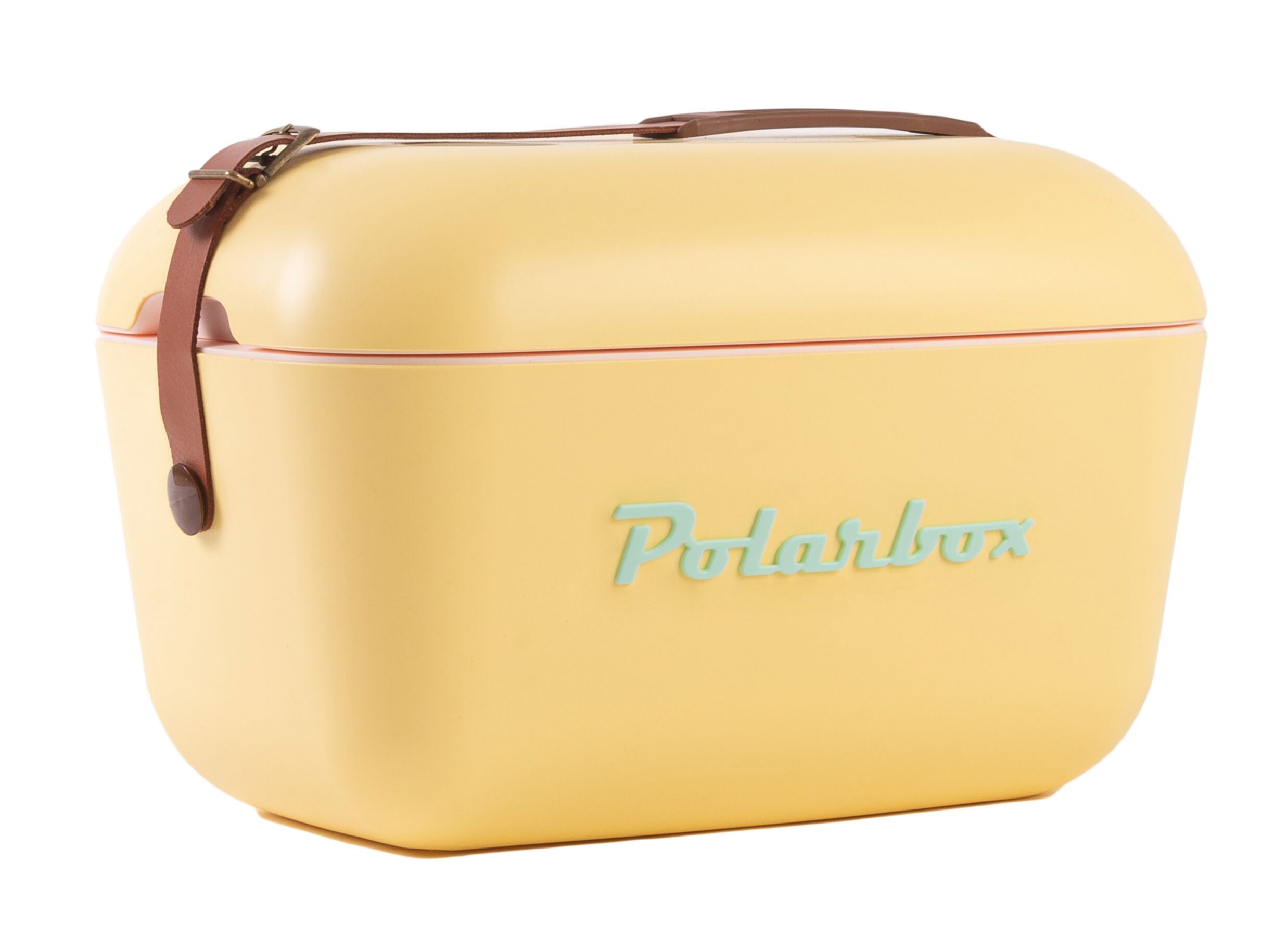 Plus Important - Glacière Polarbox 12L - plastique - jaune