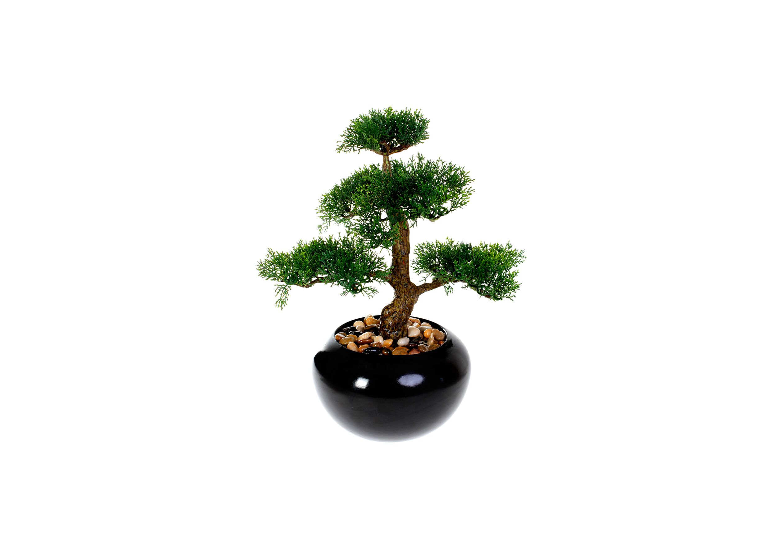 Kunstplant Bonsai H36cm