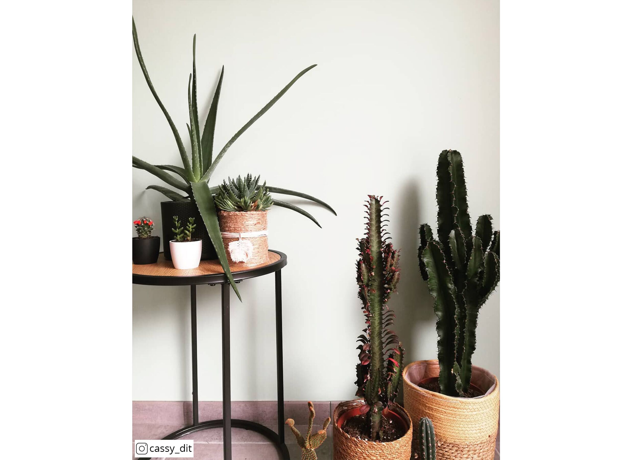 Foto ambiance - Table d'appoint Ø40cm