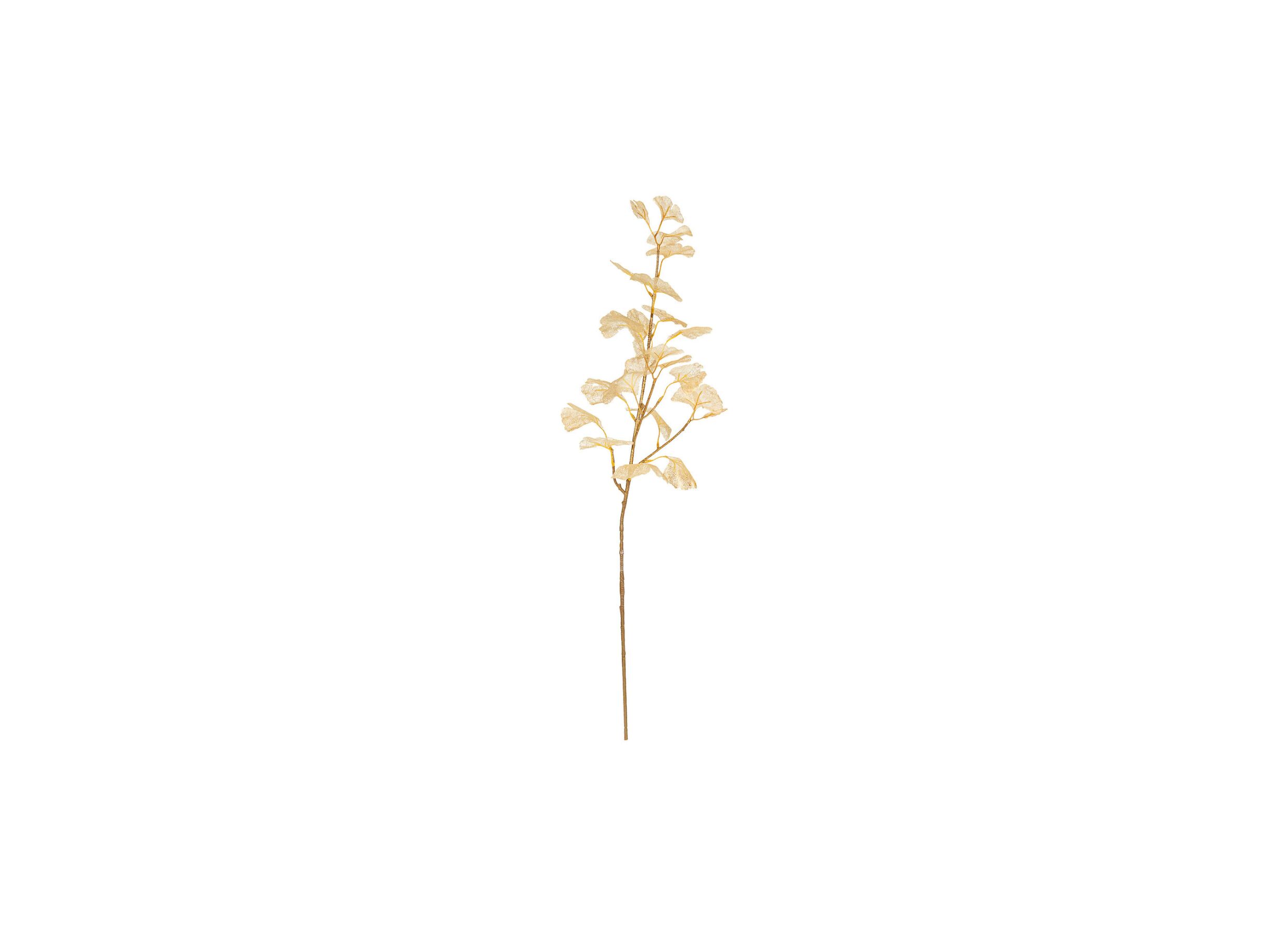 Hoofdfoto - Decoratietak Ginkgo H77cm