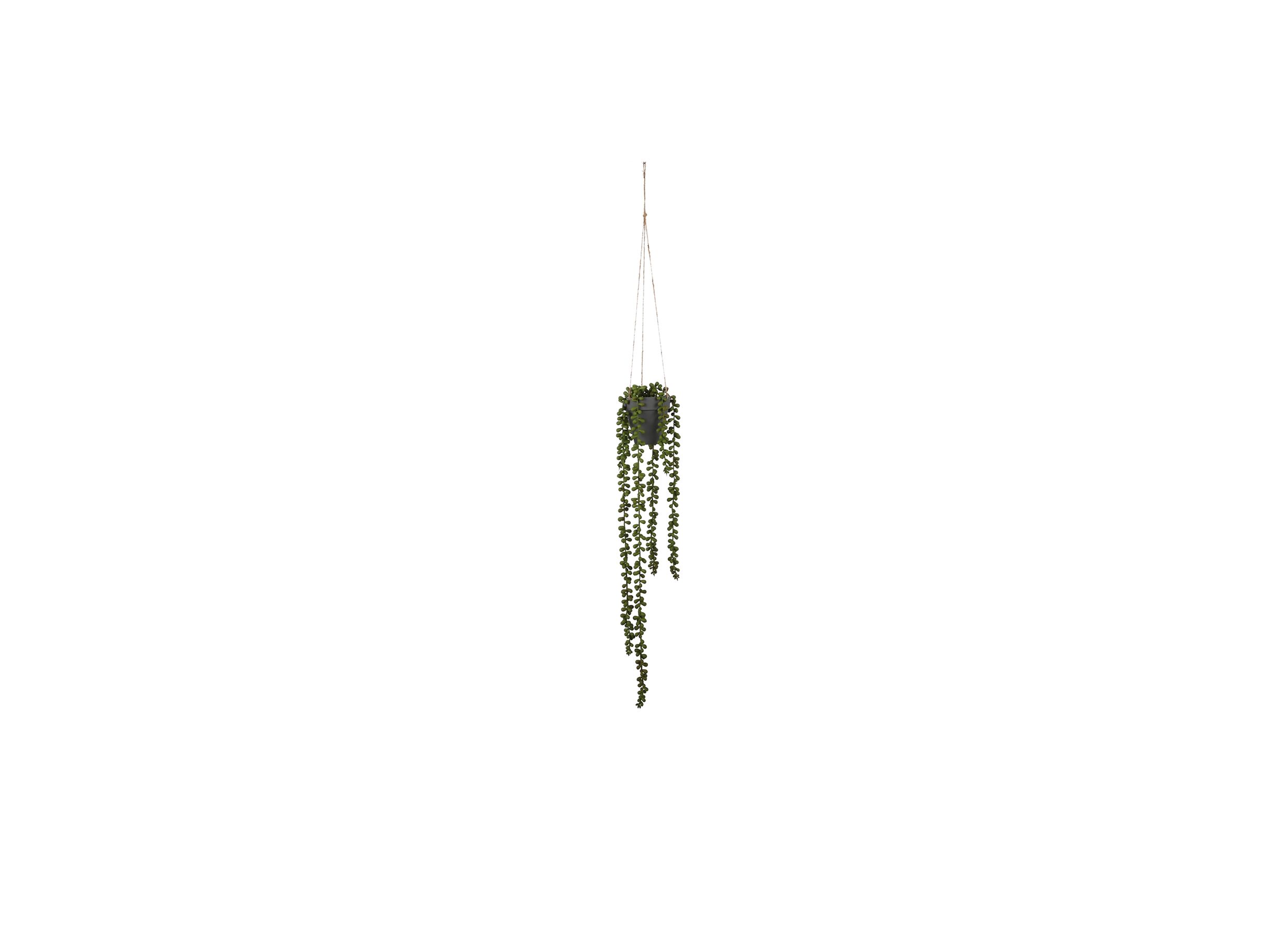 Plante artificielle Senecio suspendu H56cm - Plante artificielle Senecio suspendu H56cm