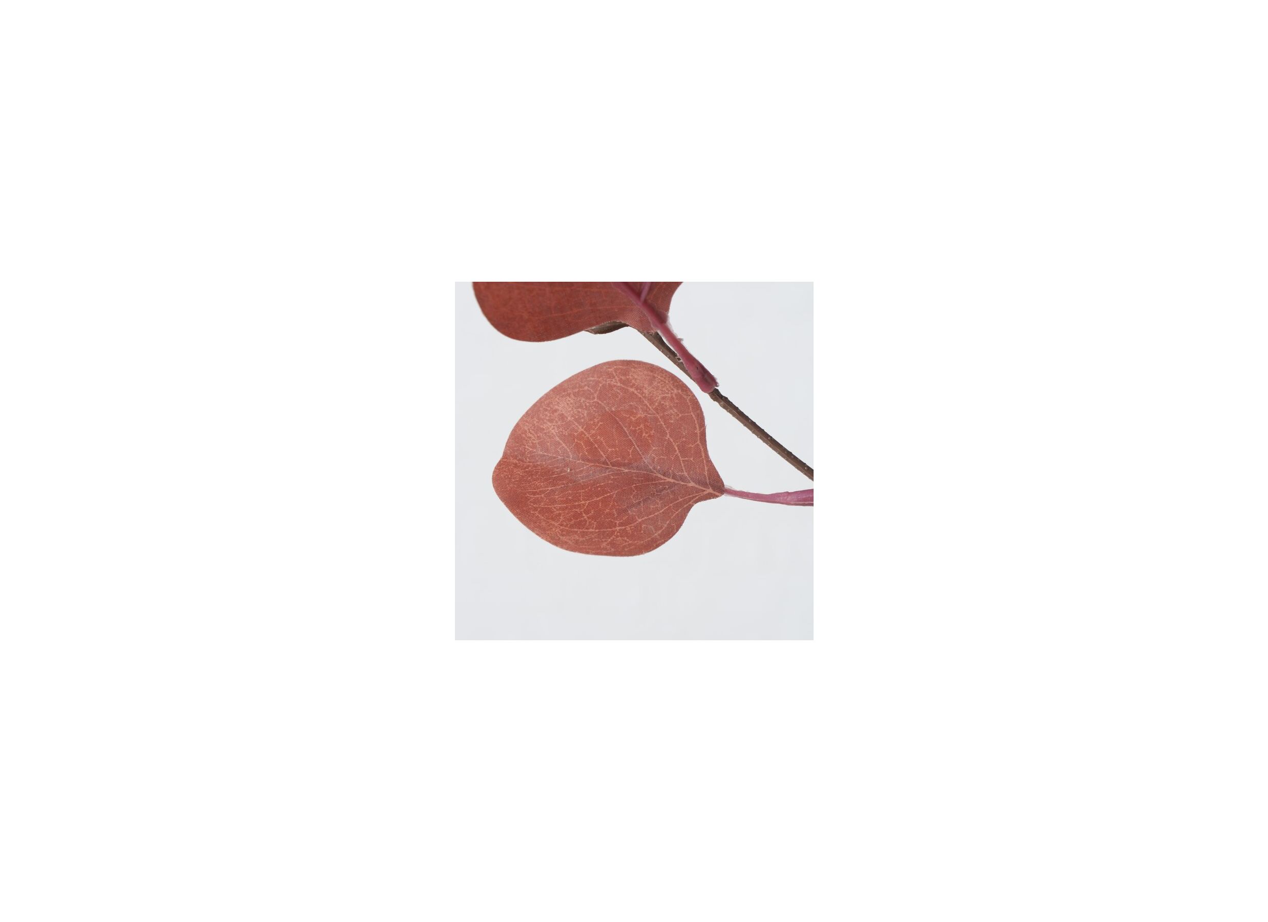 Detail - Branche artificielle Eucalyptus H91cm