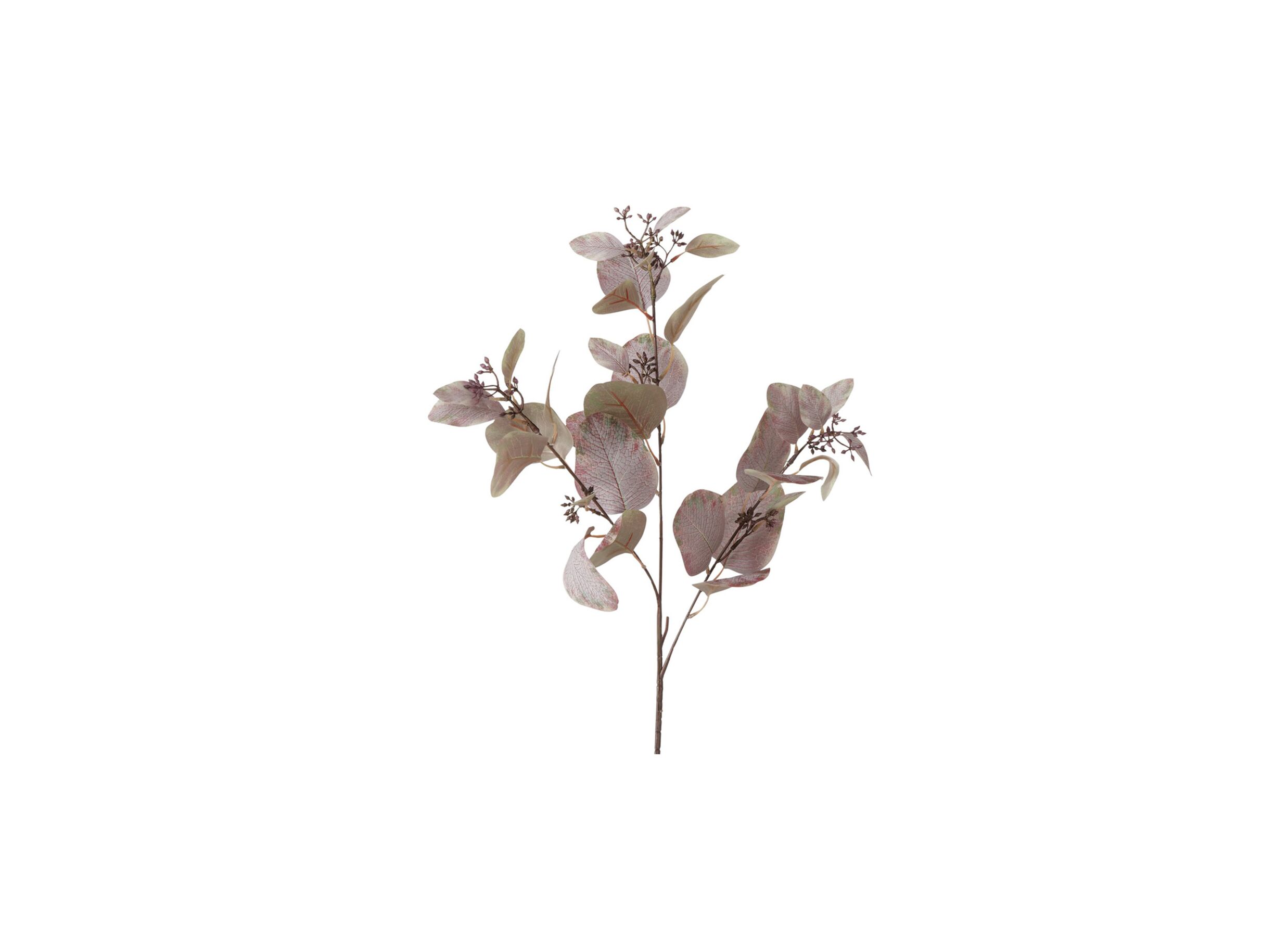 Overzichtsfoto - Decoratietak Eucalyptus H86cm