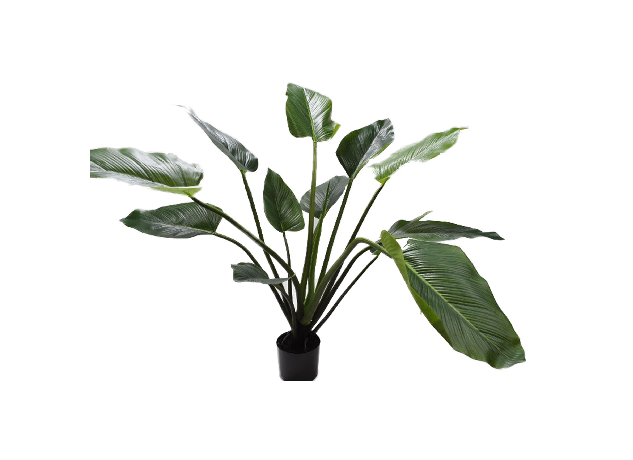 Kunstplant Alocasia 122cm