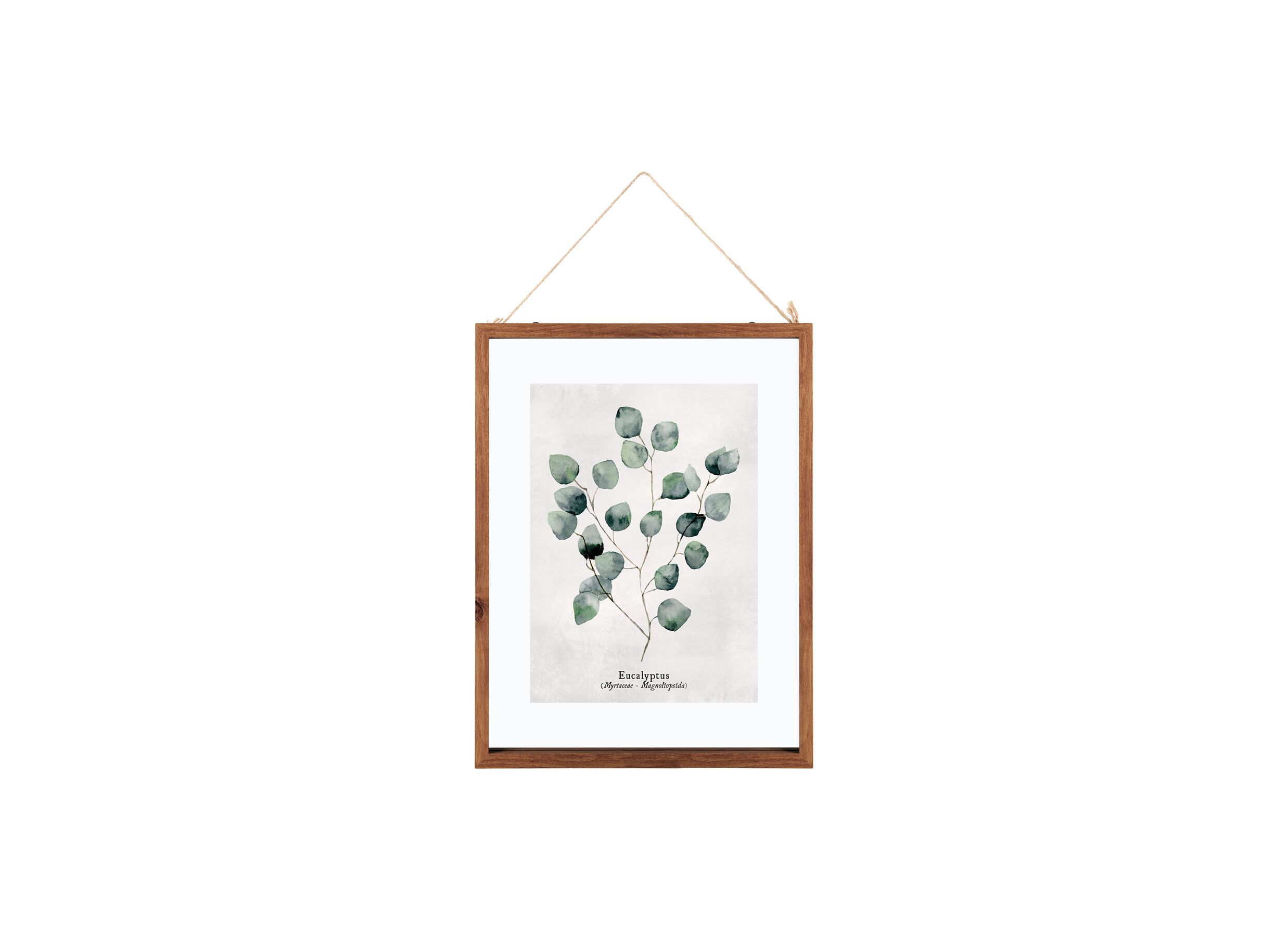 Fotokader 40x30cm - glas - bruin & groen