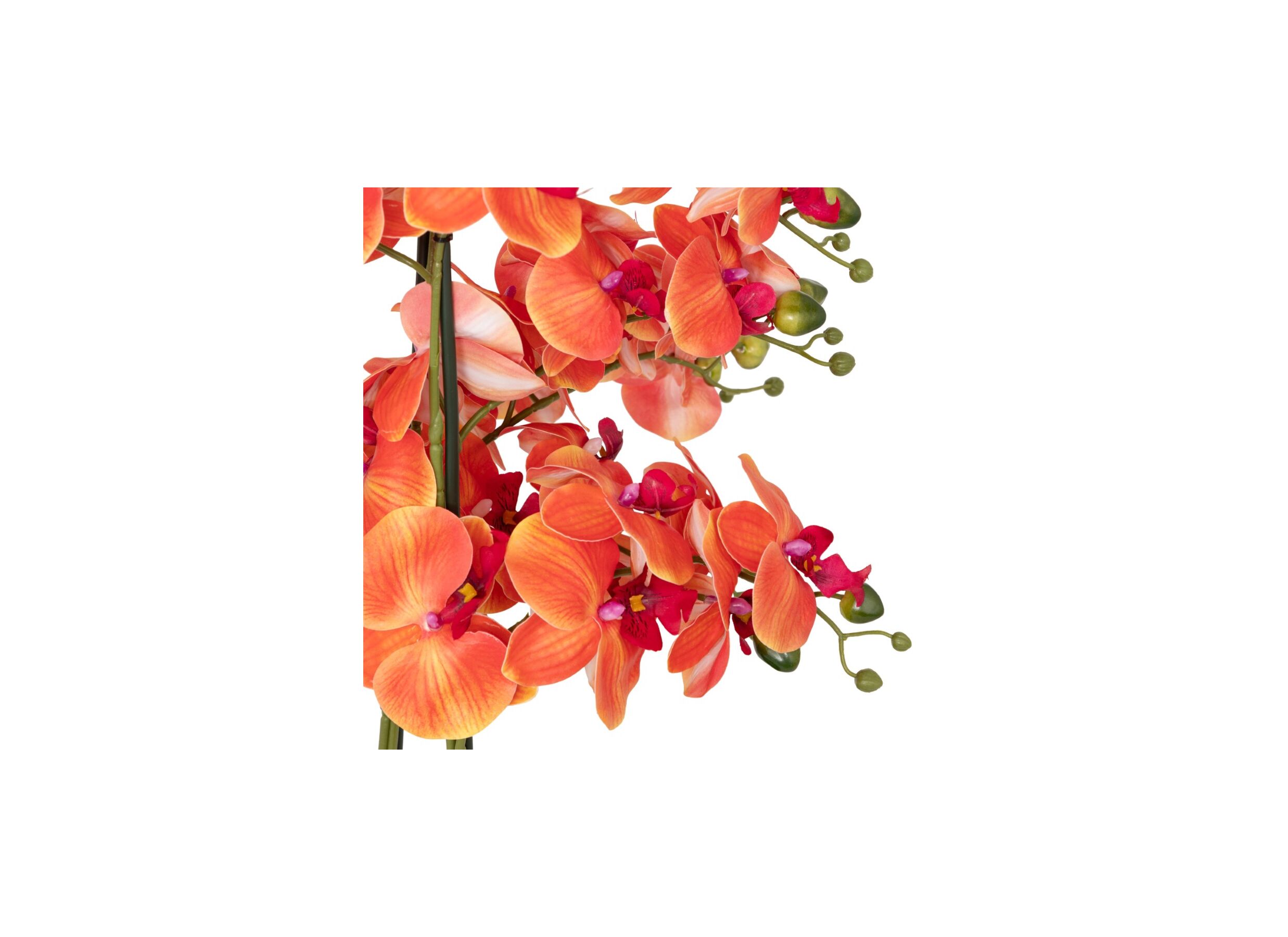 Detailfoto - Kunstplant Orchidee H60cm - kunststof/keramiek - oranje