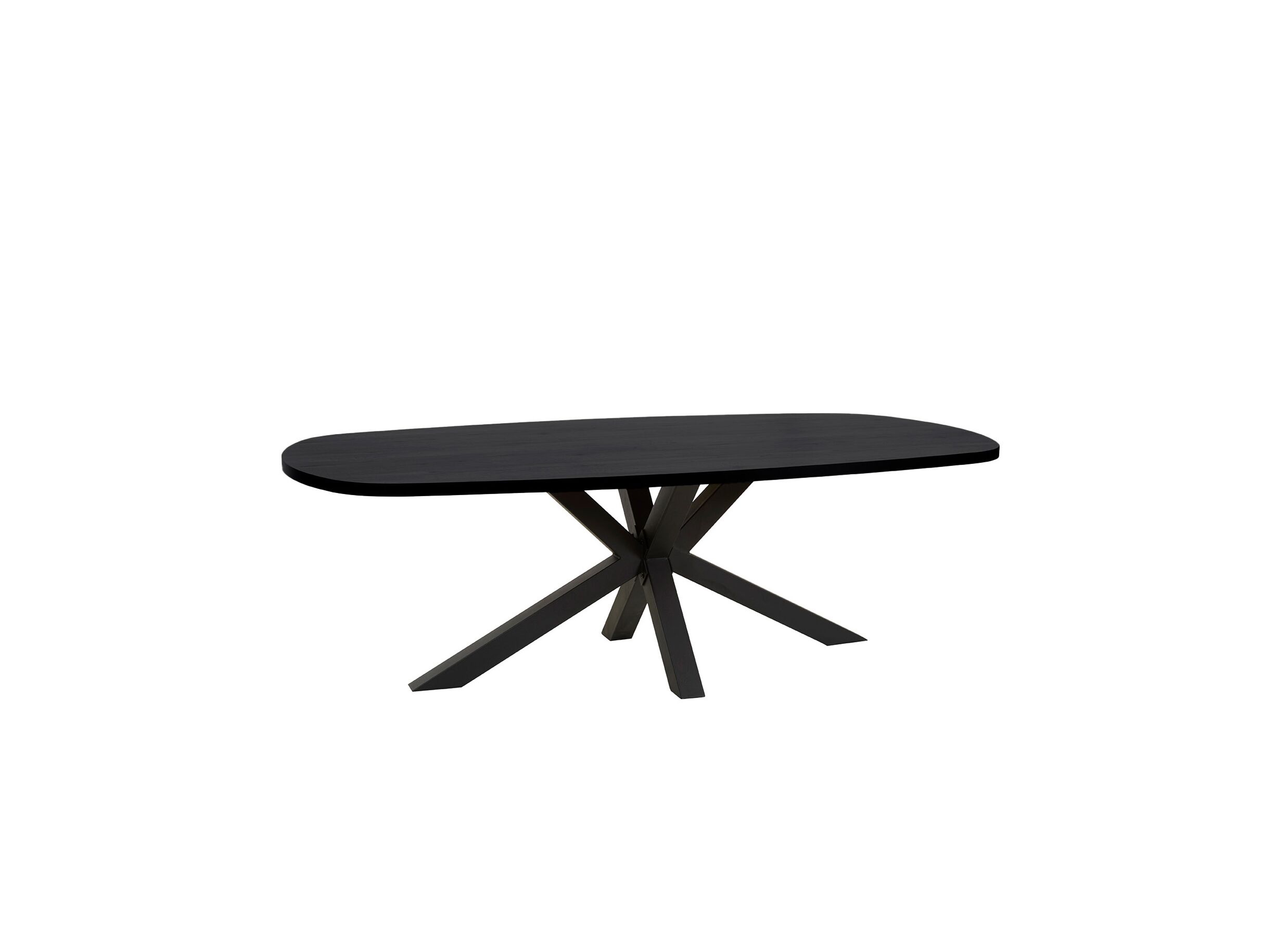 Table Raphael 200x100cm ovale - Table Raphael 200x100cm - melamine - NOX