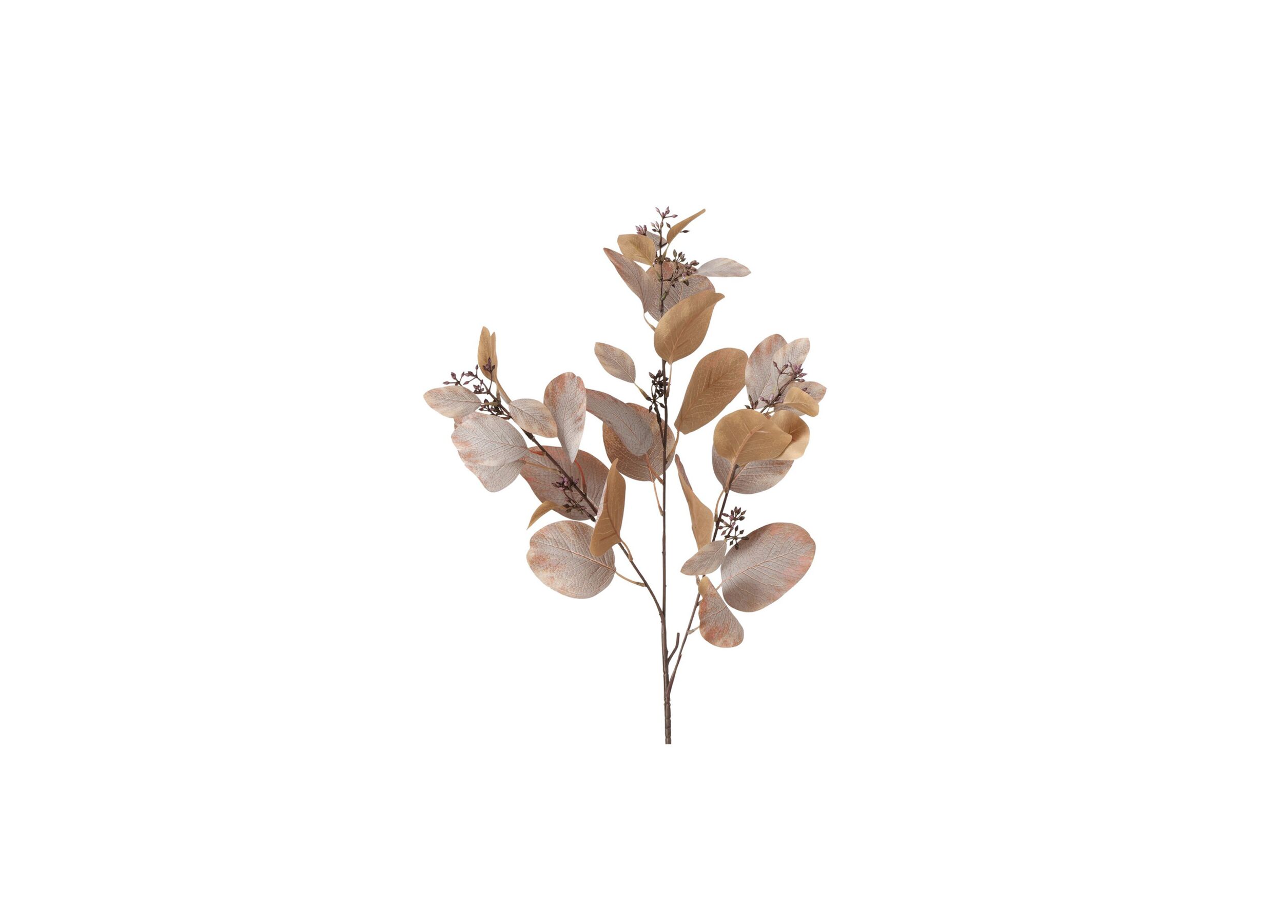 Overzichtsfoto - Decoratietak Eucalyptus H86cm
