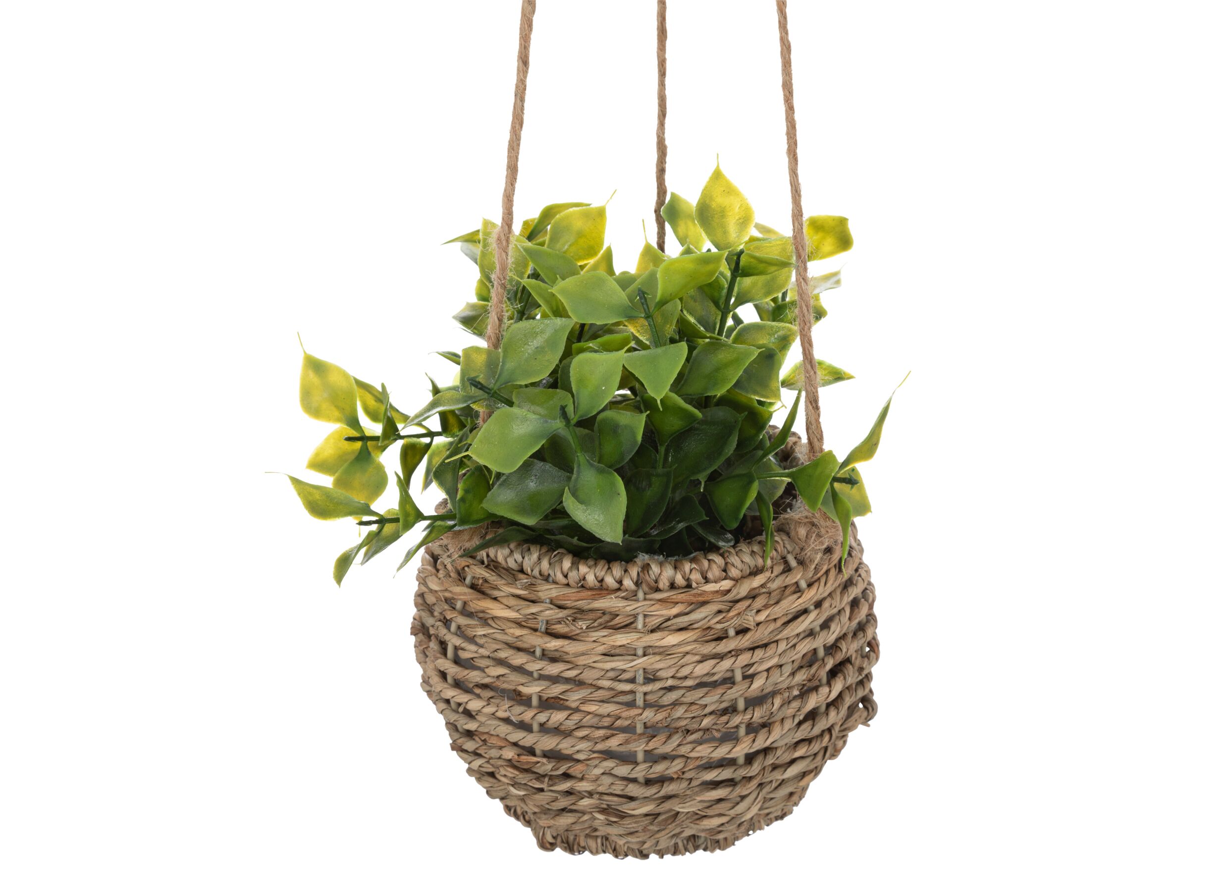 Detail - Plante artificielle suspendue ZoeZoe H17cm
