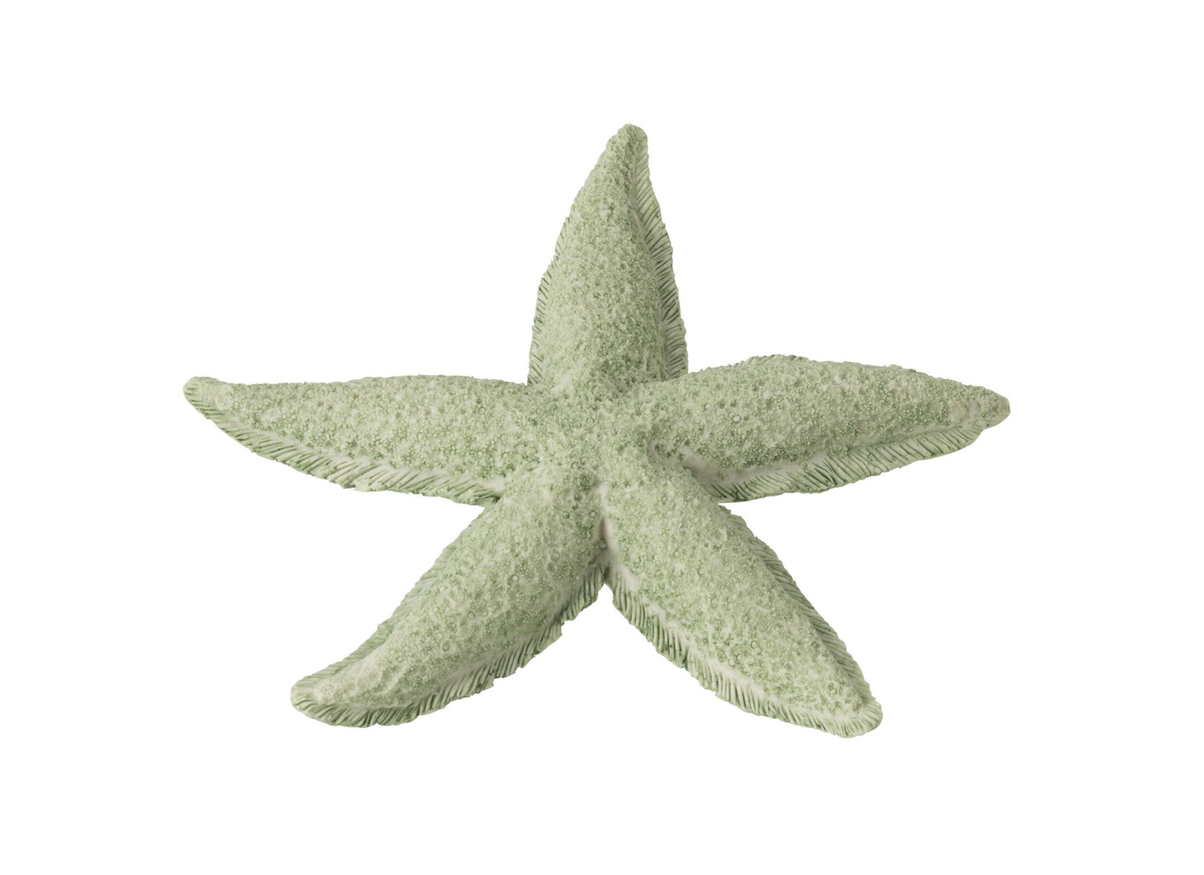 Figuur Zeester 20x20x3cm - polyresine - muntgroen - Figurine Étoile de Mer 20x20x3cm - polyrésine - vert menthe