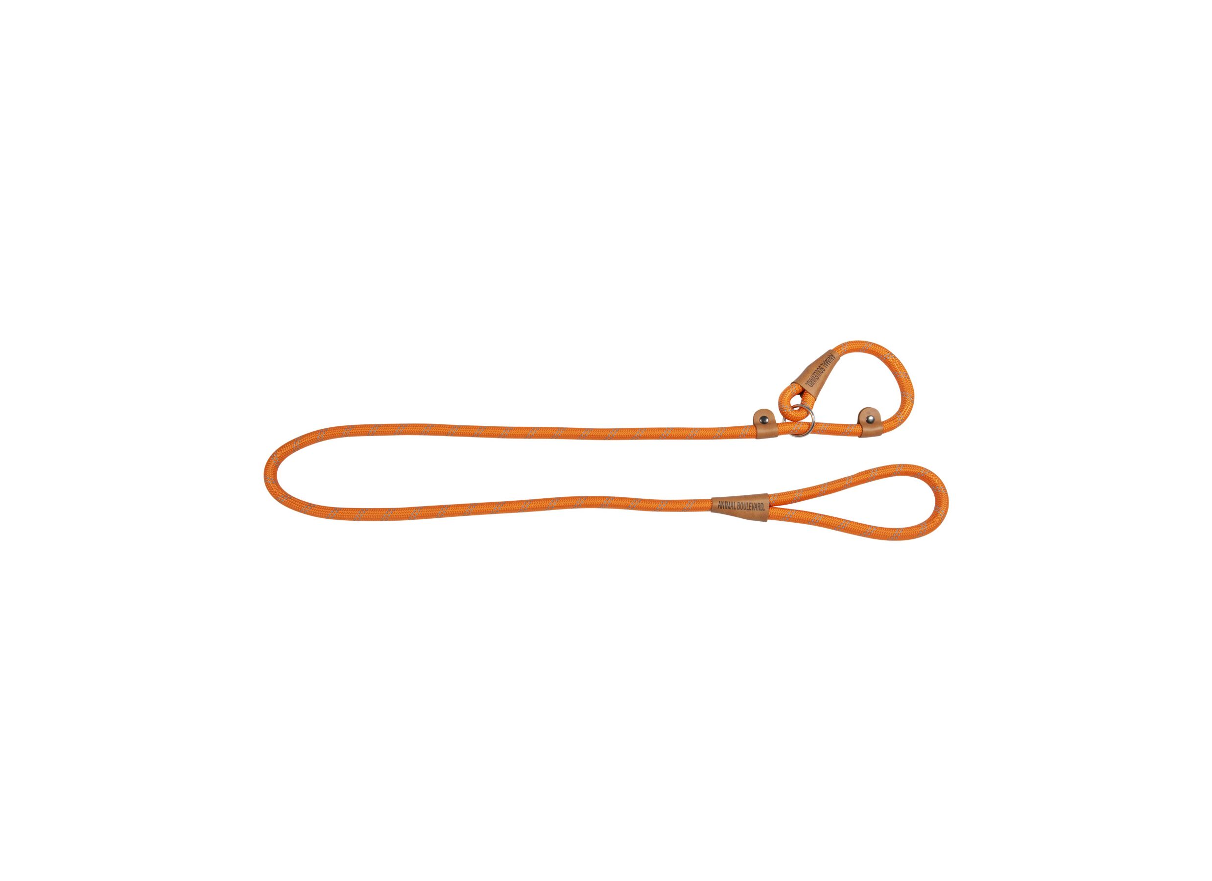 Leiband hond 180cm oranje