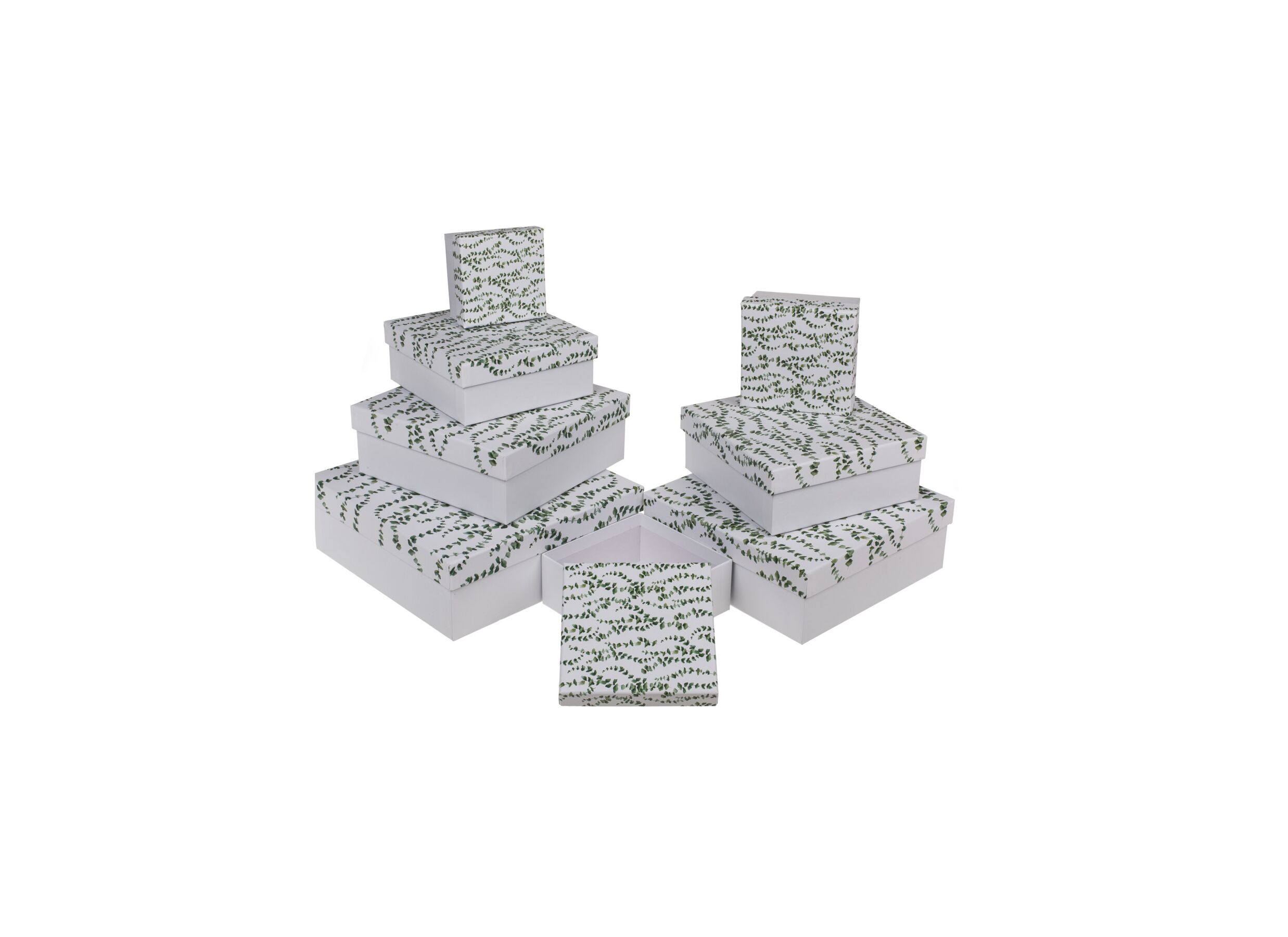 Giftbox Eucalyptus - karton - wit set van 8 - Giftbox Eucalyptus - karton - wit set van 8